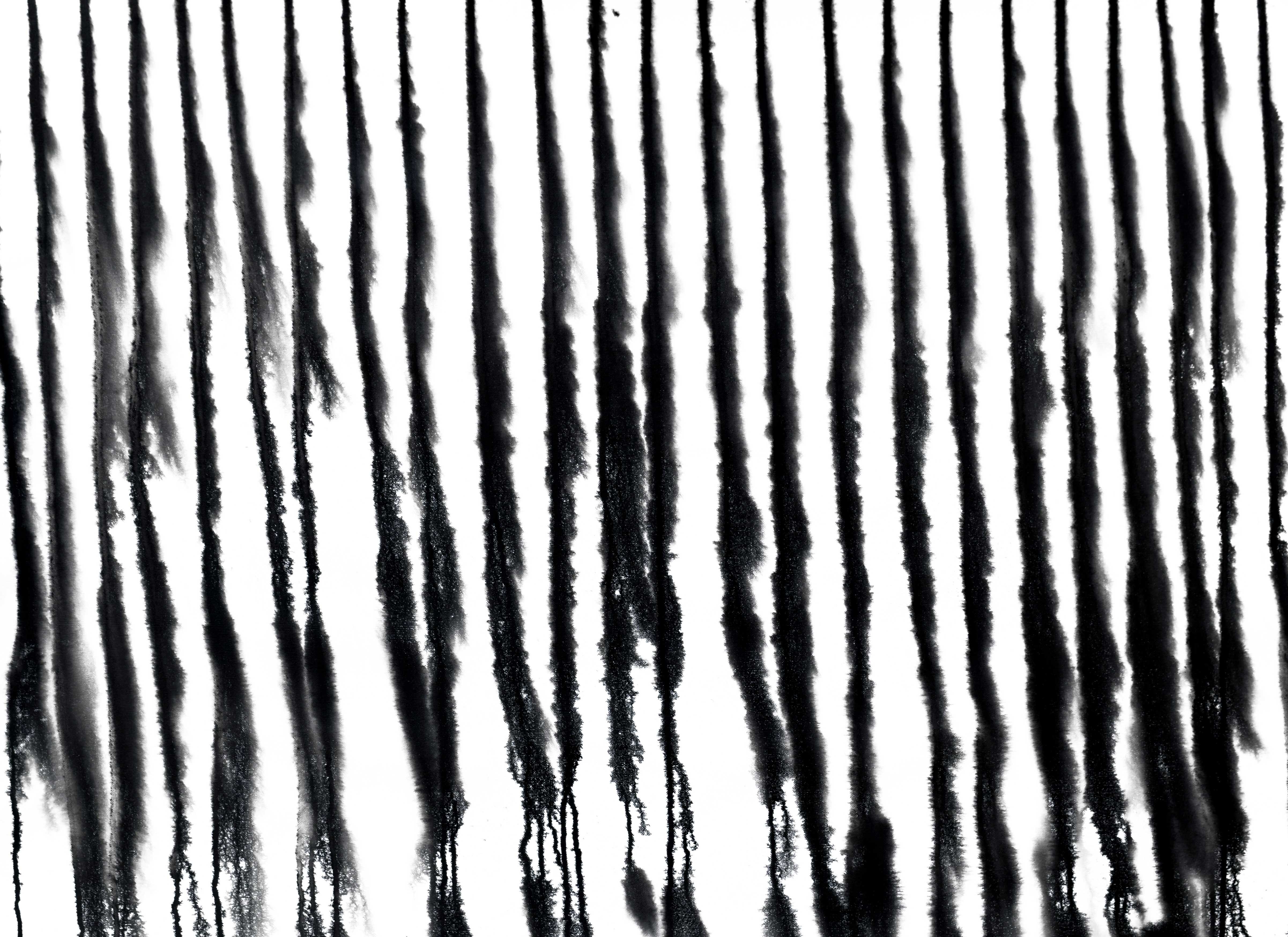 Sumit Mehndiratta, Dripology No.12 Sumit Mehndiratta, Dripology No.12