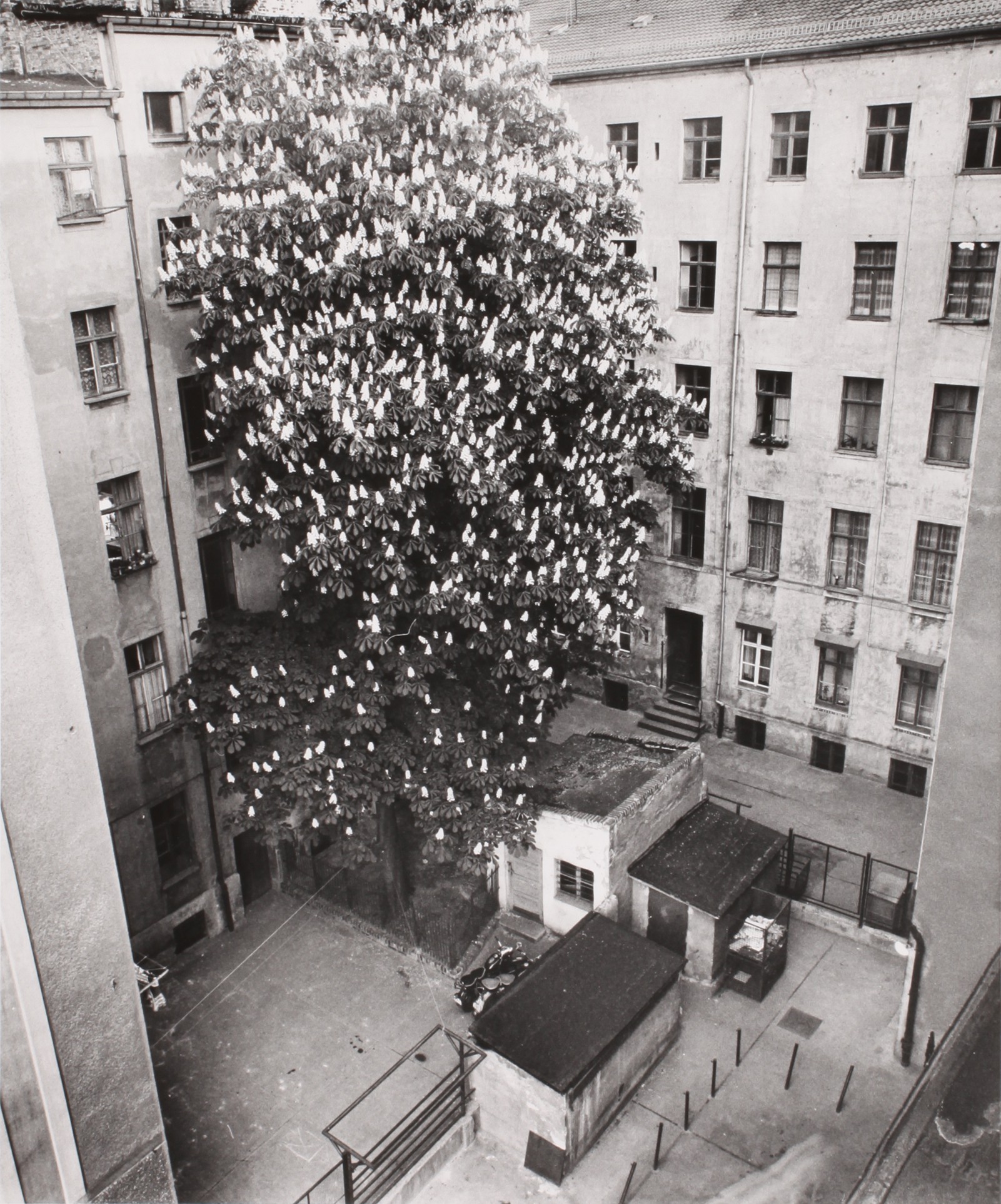 Manfred Paul, Série : Berlin nord-est / arrière-cours - Stargarder Straße Manfred Paul, Série : Berlin nord-est / arrière-cours - Stargarder Straße