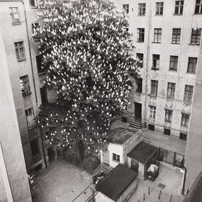 Fotografien, Série : Berlin nord-est / arrière-cours - Stargarder Straße, Manfred Paul
