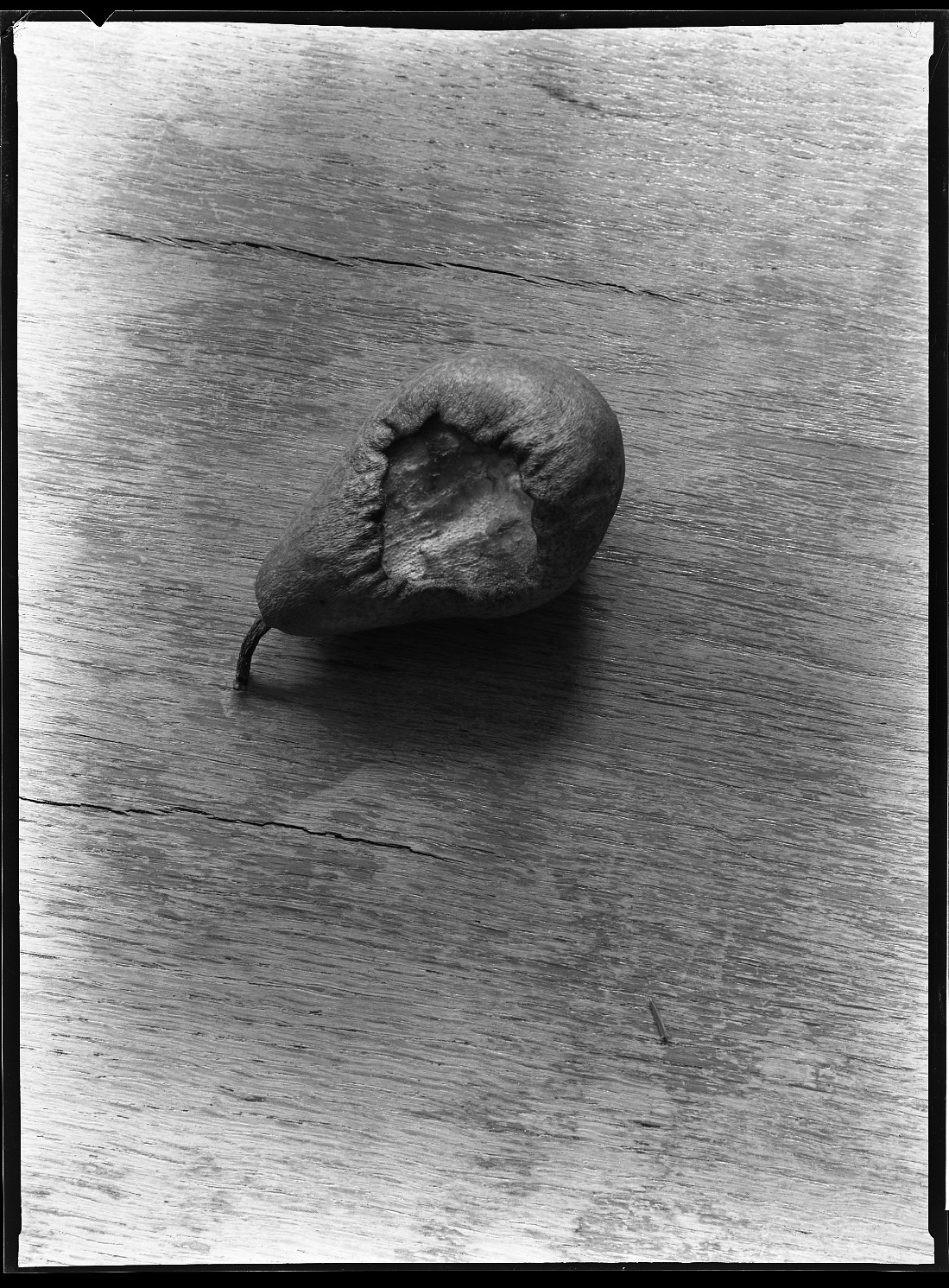 Manfred Paul, Série : natures mortes Manfred Paul, Série : natures mortes