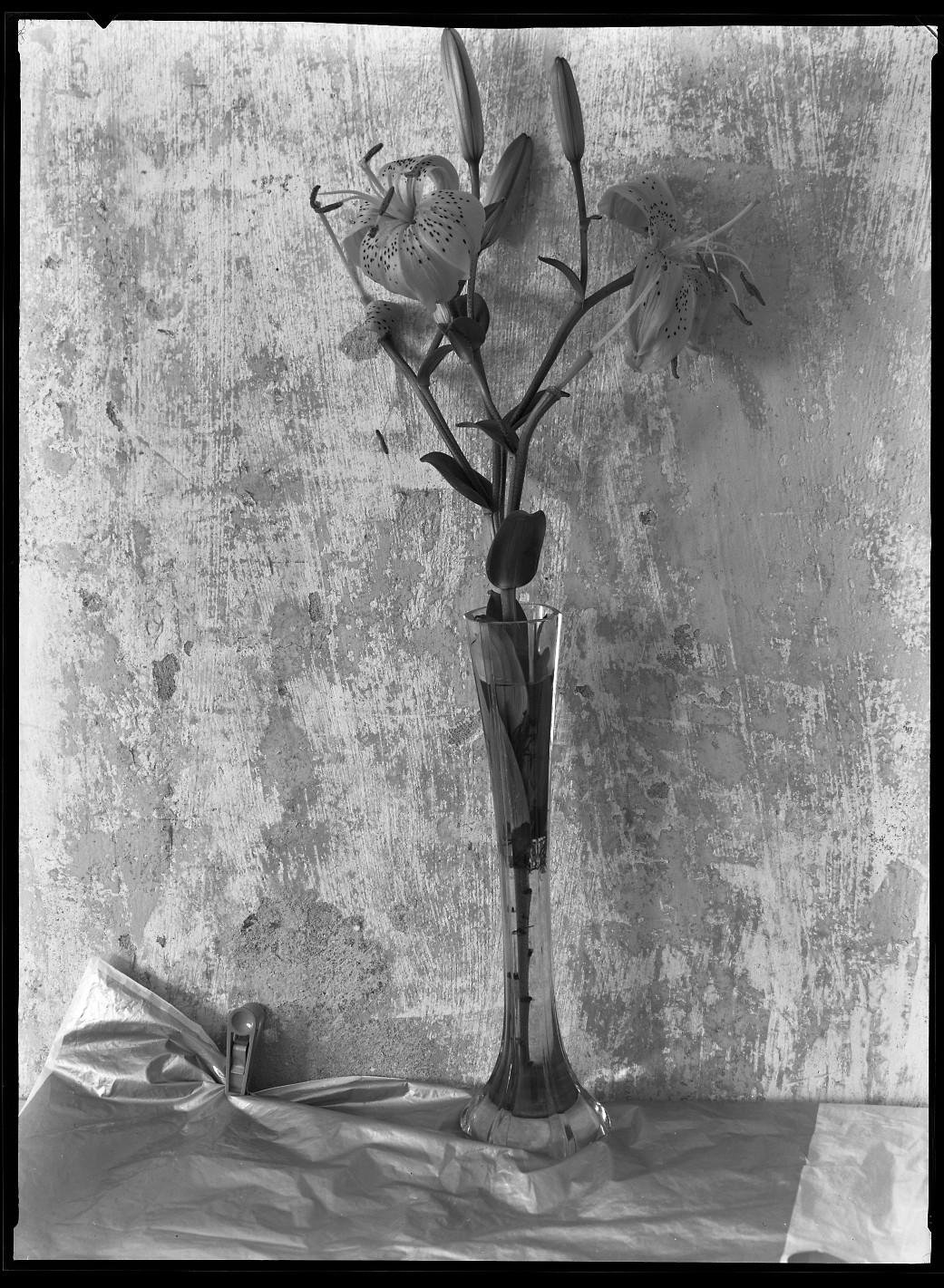 Manfred Paul, Série : natures mortes Manfred Paul, Série : natures mortes