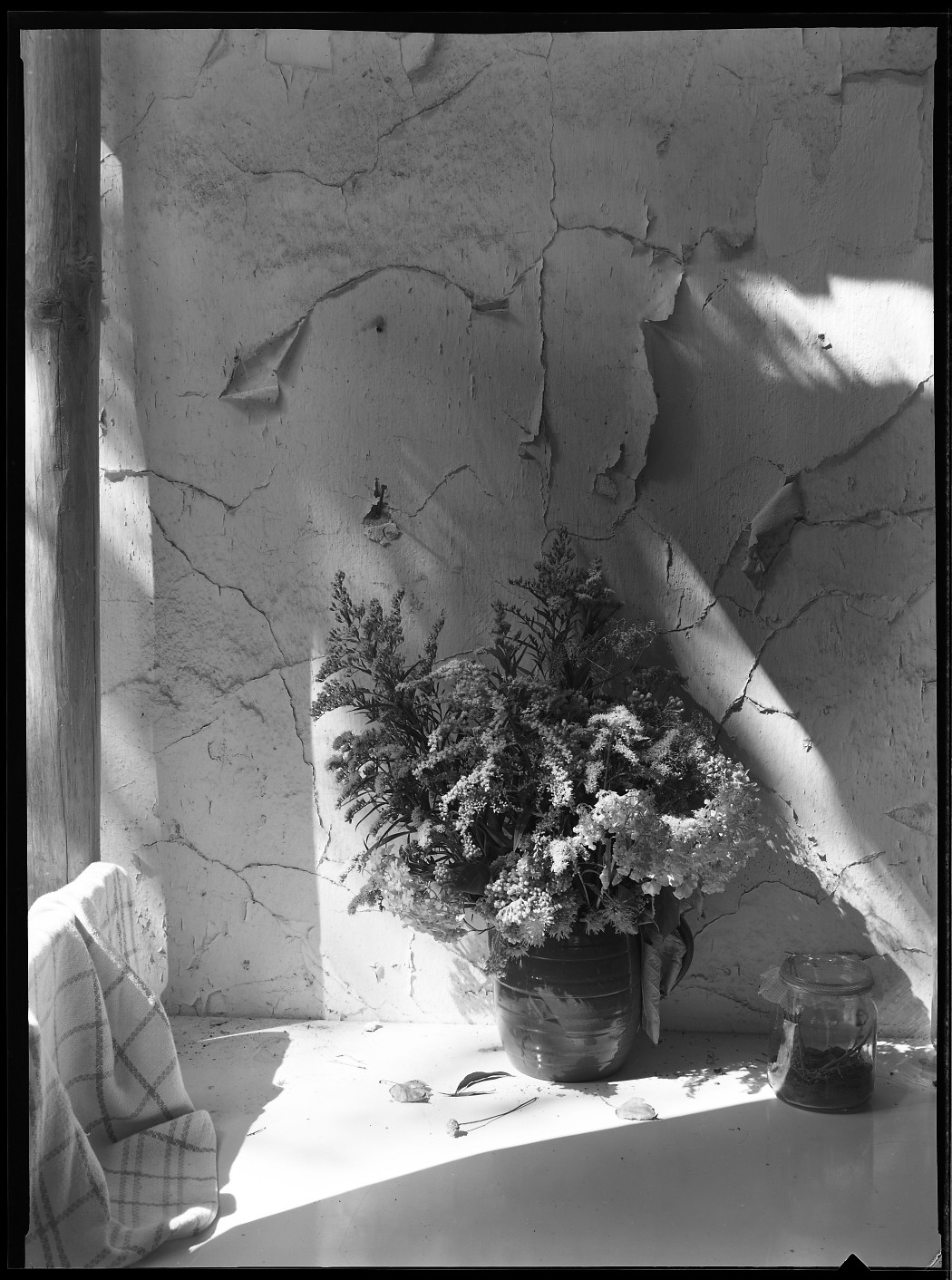 Manfred Paul, Série : natures mortes Manfred Paul, Série : natures mortes