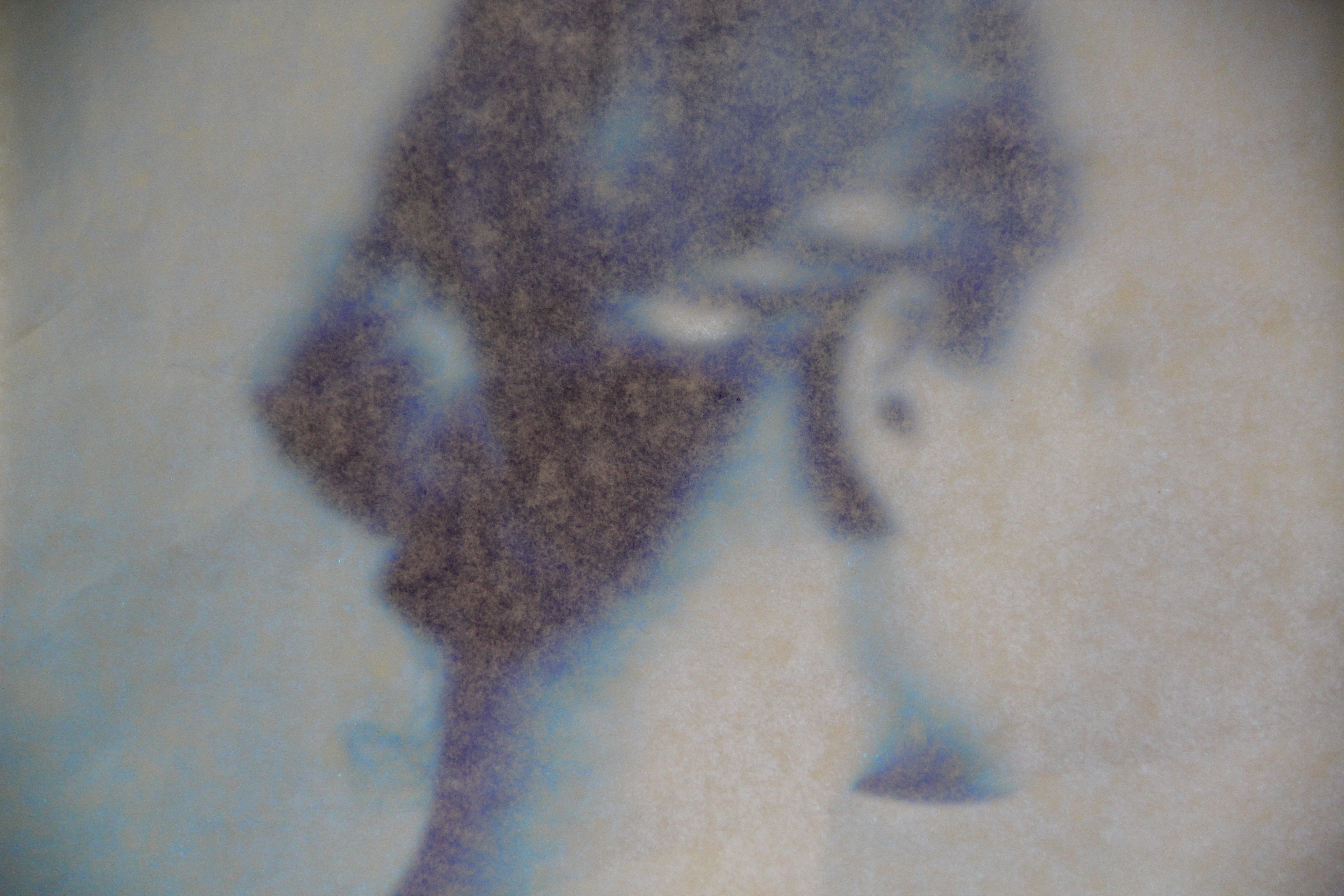 Sylvie Schambill, Danseuse Sylvie Schambill, Danseuse