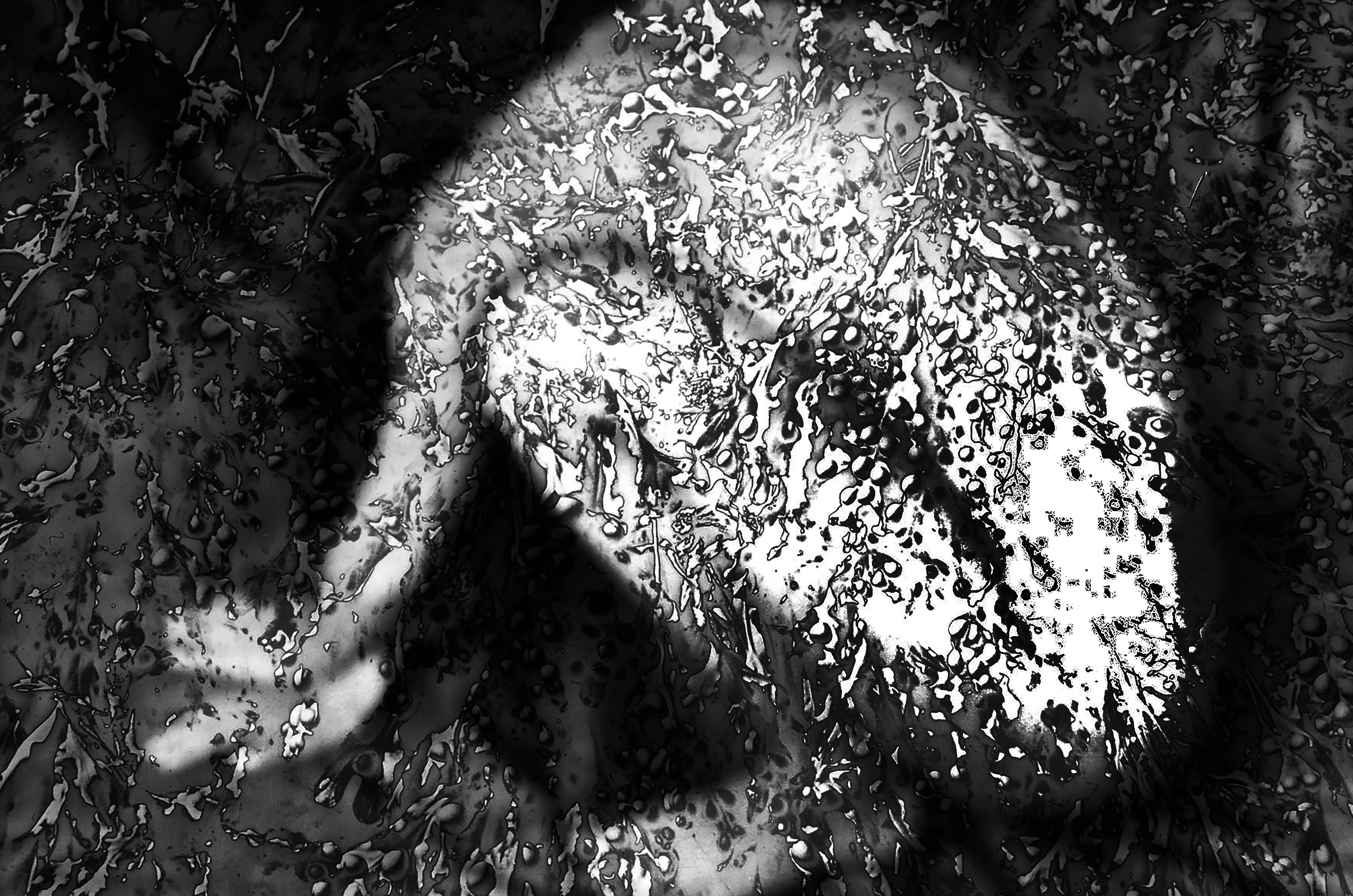 Bruno Fournier, Sans titre 23 Bruno Fournier, Sans titre 23