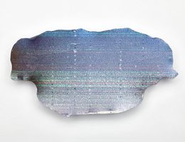 Slice 001b, Failed 3D-printed Cross Section of a Human Torso, Top, Catherine Leutenegger