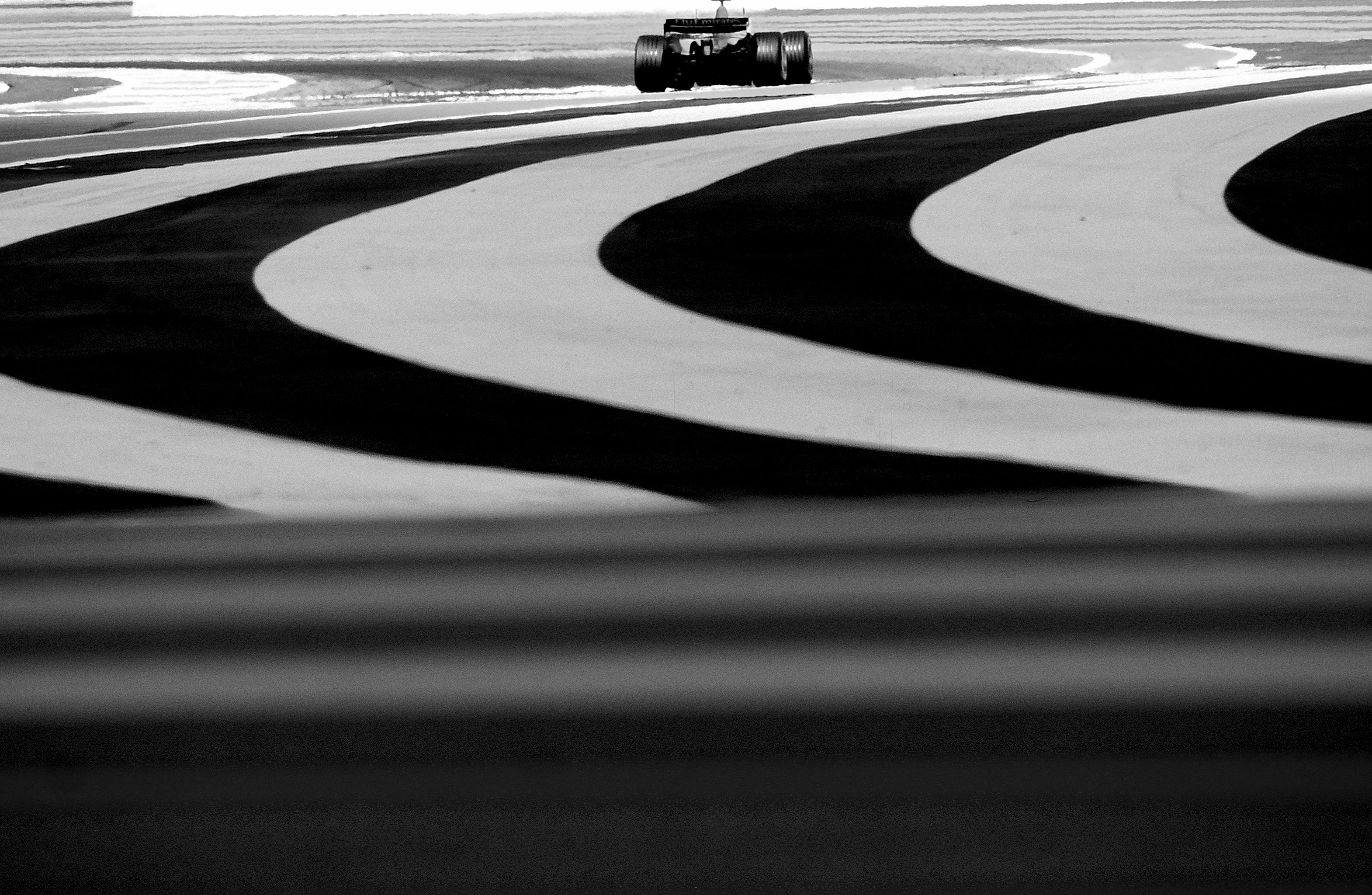 Dominique Leroy, Zébrure et Formule 1 Dominique Leroy, Zébrure et Formule 1