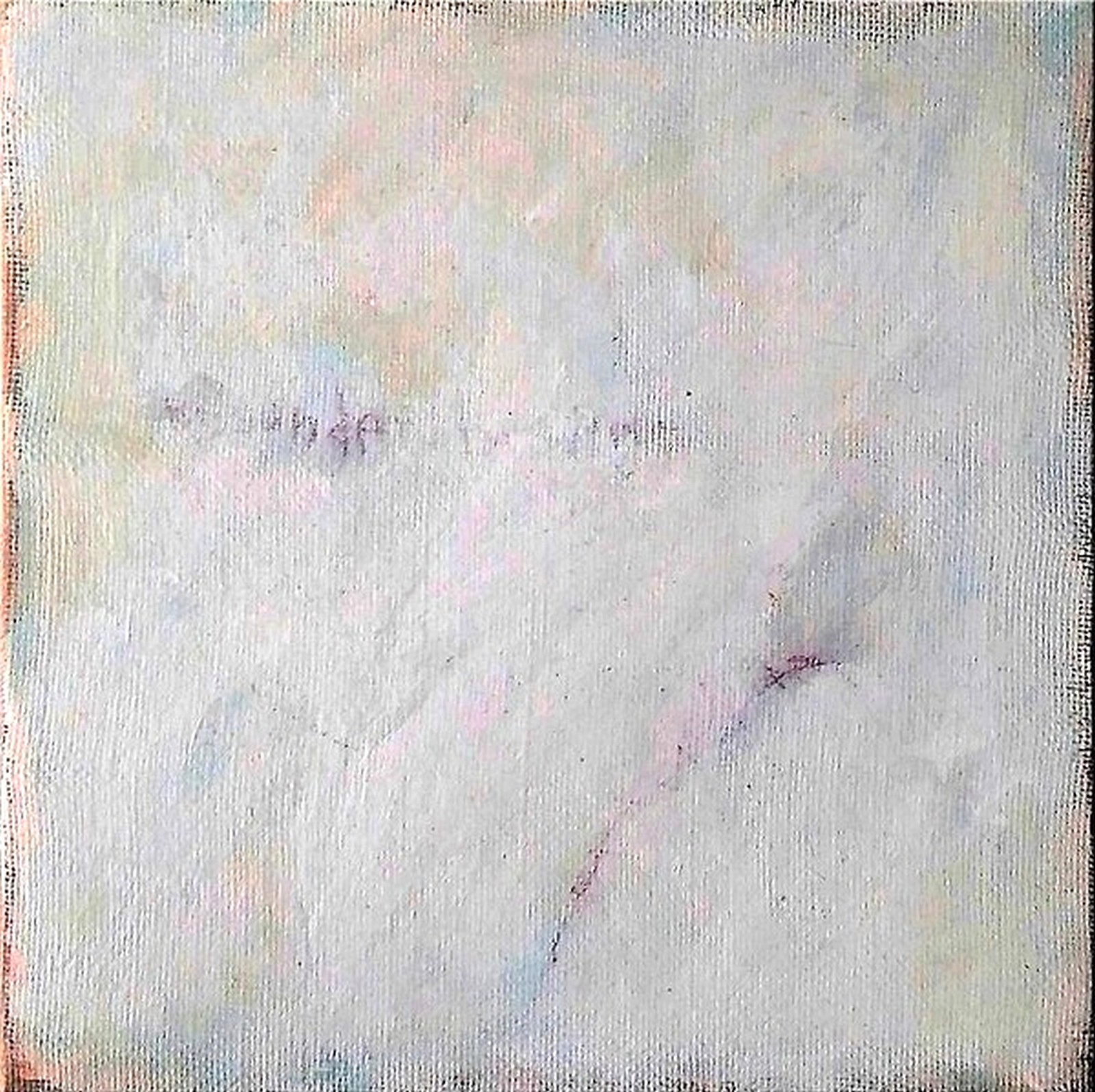 Olivier Biarez, Misunderstanding Olivier Biarez, Misunderstanding