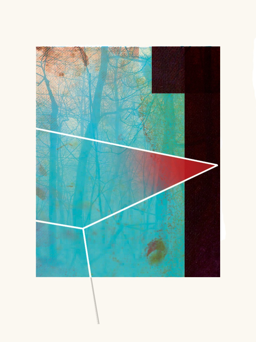 Francisco Nicolás, Forest and Black Francisco Nicolás, Forest and Black