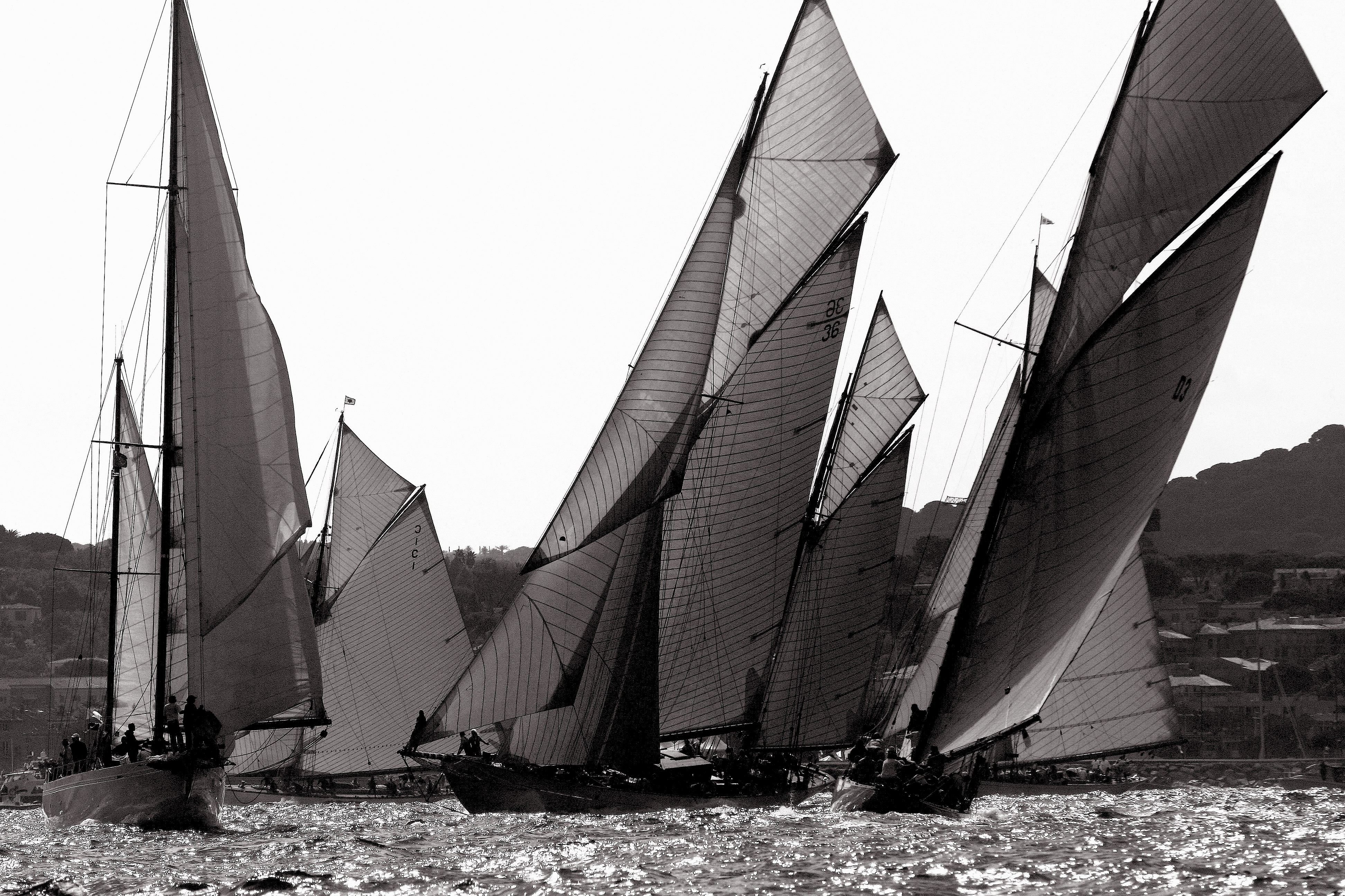 Dominique Leroy, Nioulargue. Saint Tropez. Voile Dominique Leroy, Nioulargue. Saint Tropez. Voile