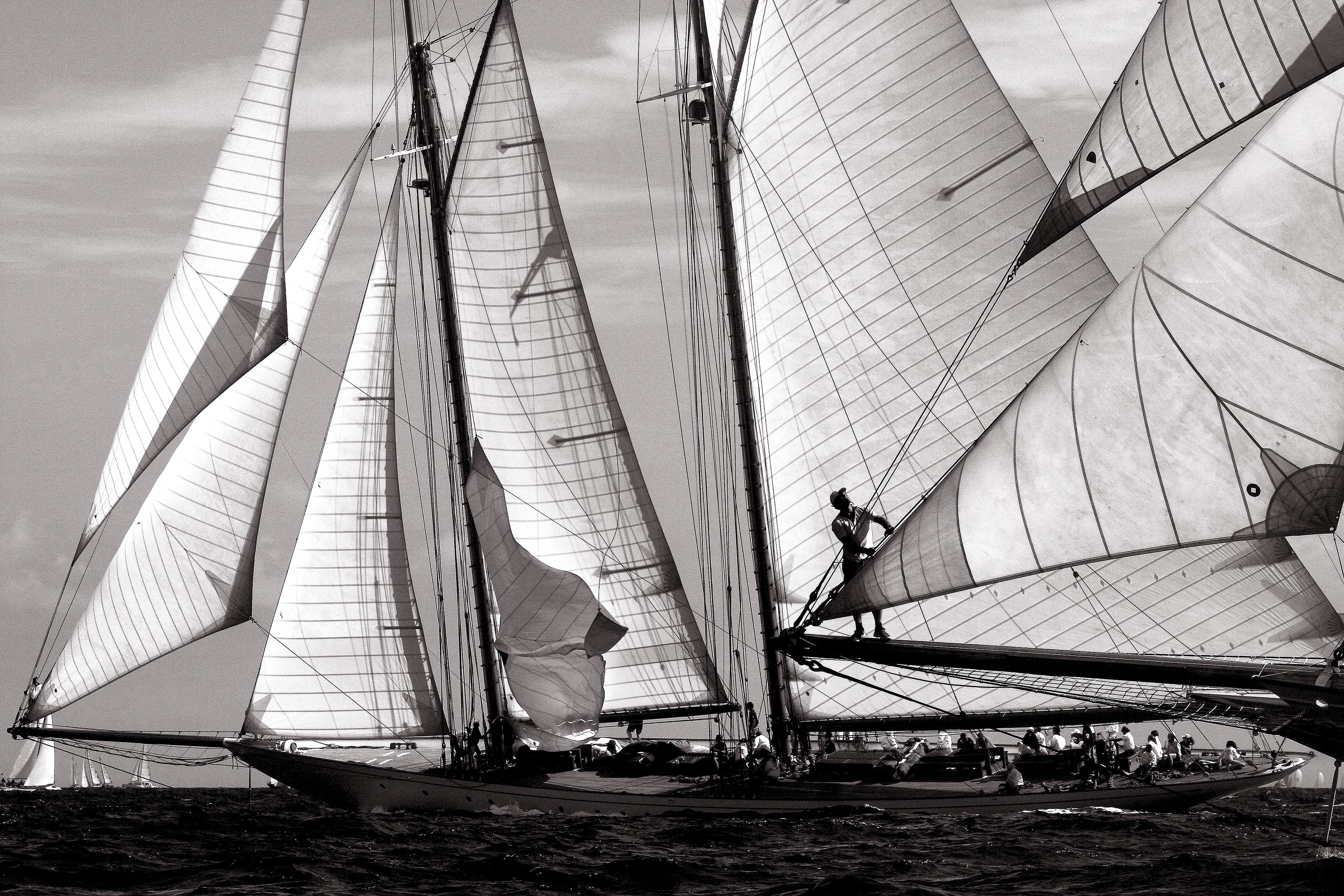 Dominique Leroy, Nioulargue. Saint Tropez. Voile 3 Dominique Leroy, Nioulargue. Saint Tropez. Voile 3