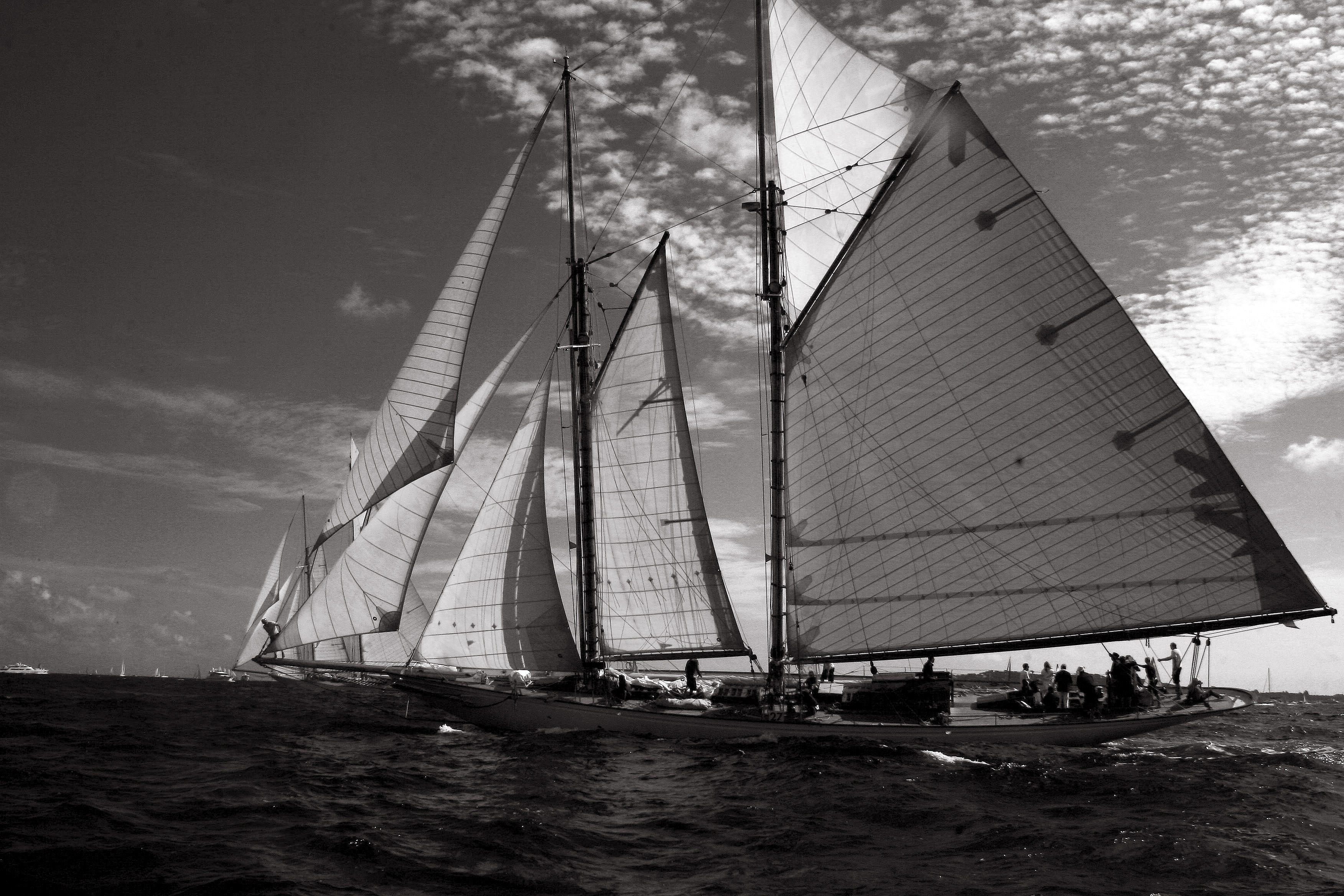 Dominique Leroy, La Nioulargue voile de Saint Tropez. France Dominique Leroy, La Nioulargue voile de Saint Tropez. France