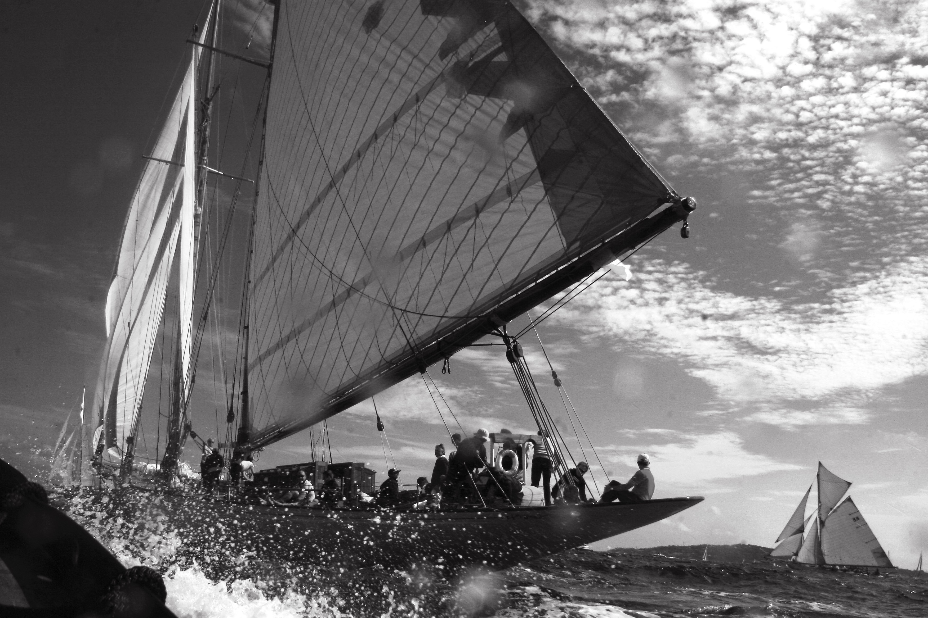 Dominique Leroy, La Nioulargue voile de Saint Tropez. France 6 Dominique Leroy, La Nioulargue voile de Saint Tropez. France 6