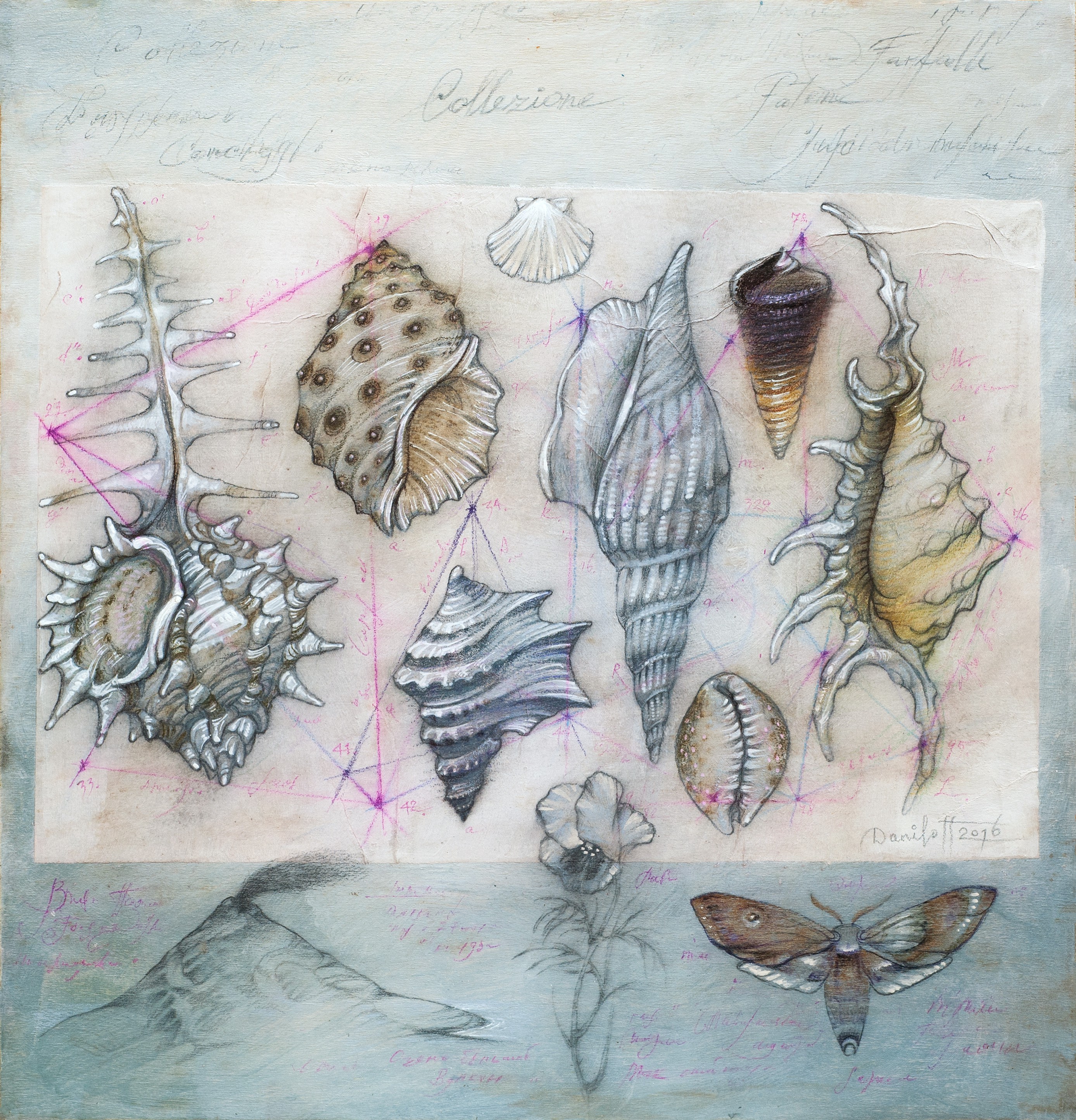 Alexander Daniloff, Collezione N°5 Alexander Daniloff, Collezione N°5