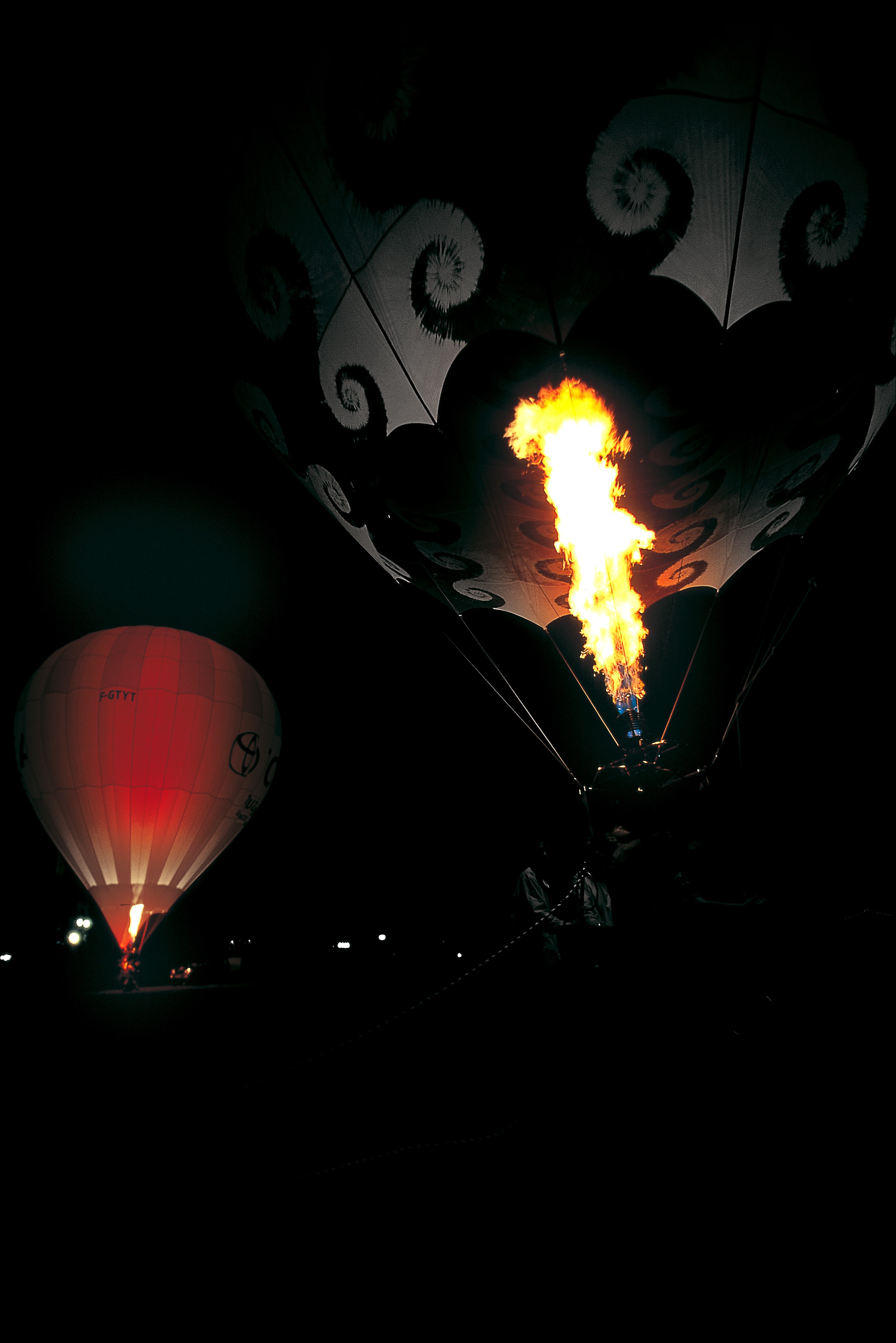 Dominique Leroy, Flamme pur et légère Dominique Leroy, Flamme pur et légère