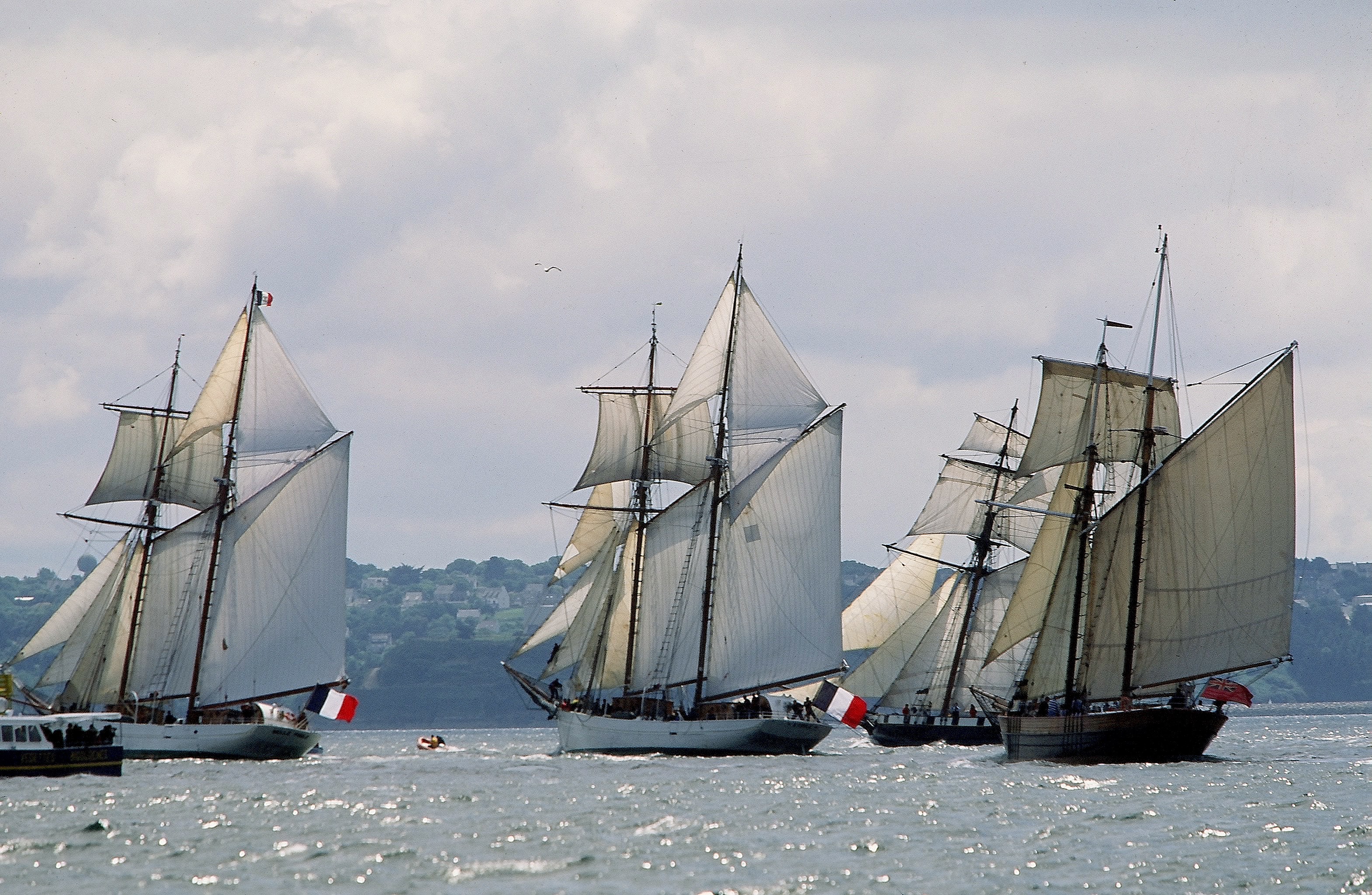 Dominique Leroy, Les trois voiles de Brest. Voilier de tradition. Dominique Leroy, Les trois voiles de Brest. Voilier de tradition.