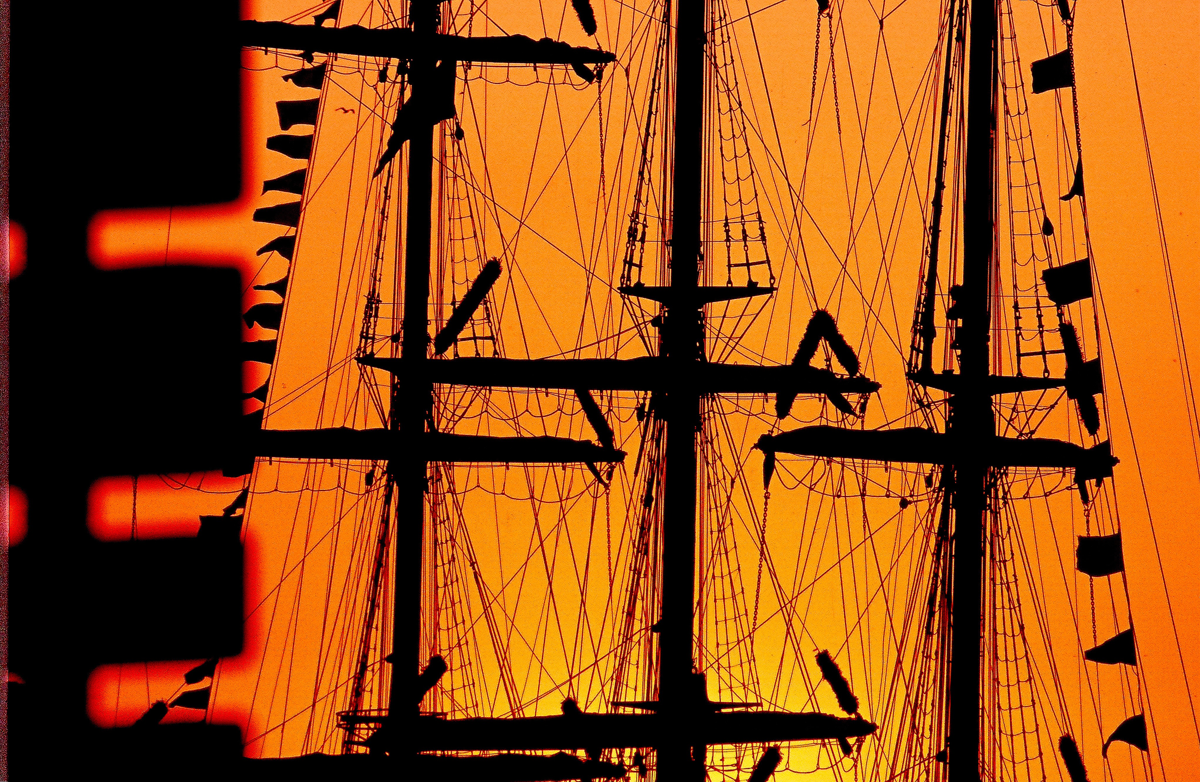 Dominique Leroy, Coucher de soleil sur les mats. Voile Dominique Leroy, Coucher de soleil sur les mats. Voile