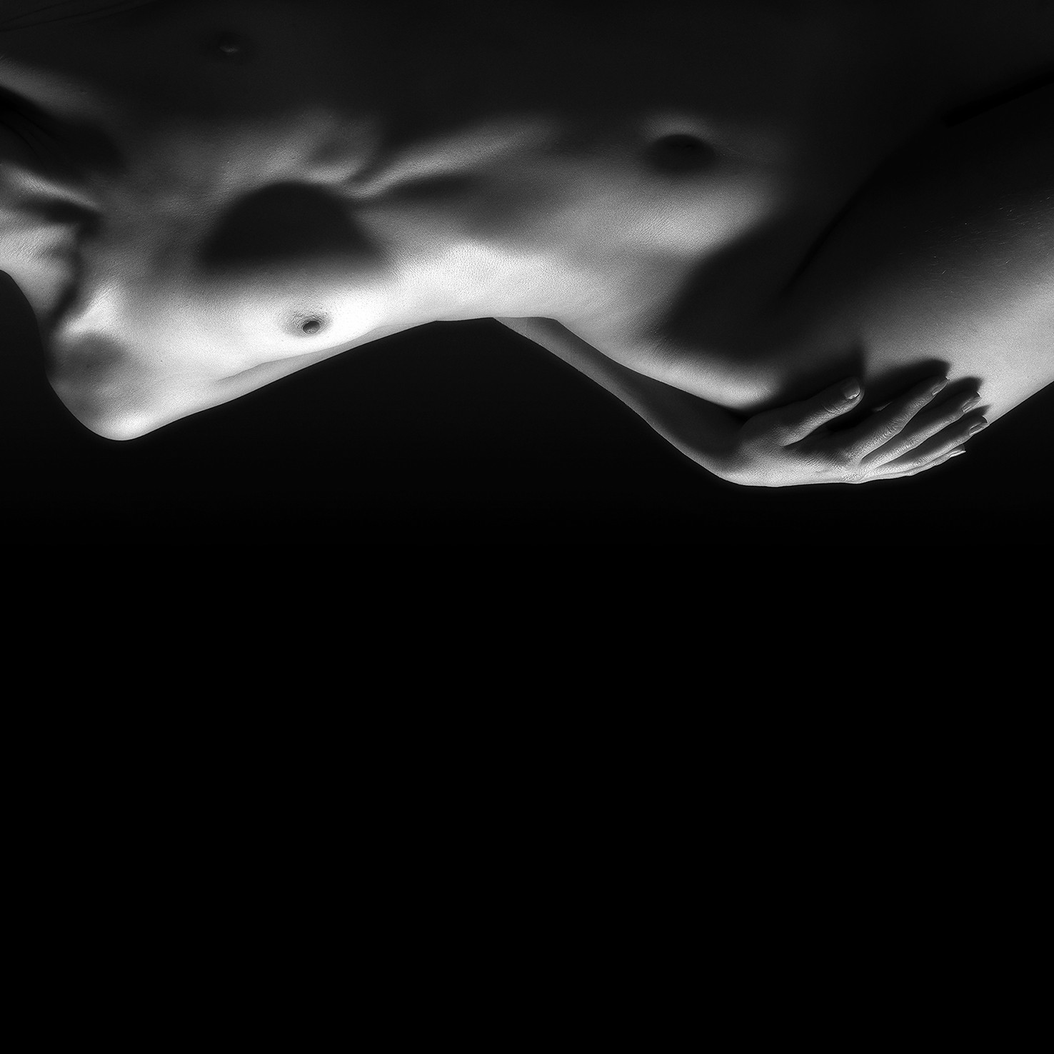 Dominique Poilpré, Fullness Dominique Poilpré, Fullness