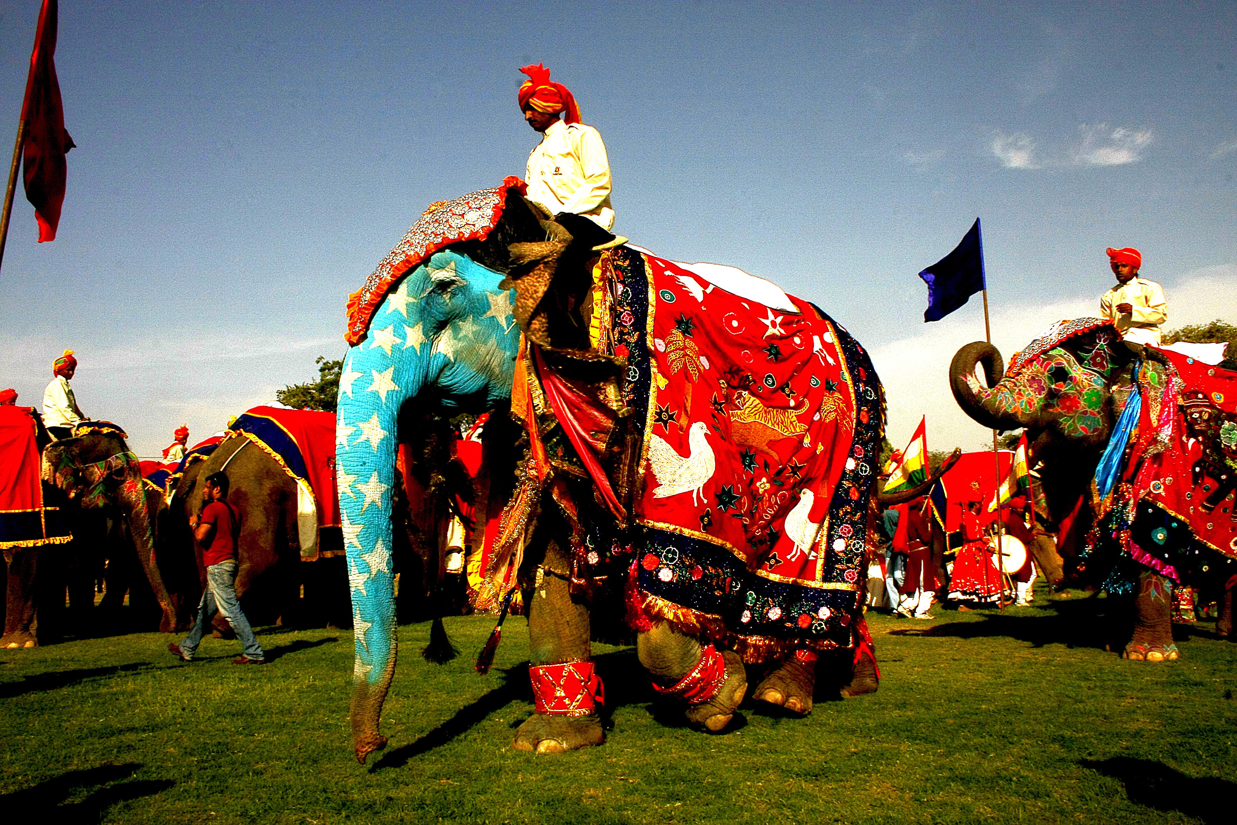 Dominique Leroy, Fête de l’éléphant au Rajasthan. Inde Dominique Leroy, Fête de l’éléphant au Rajasthan. Inde