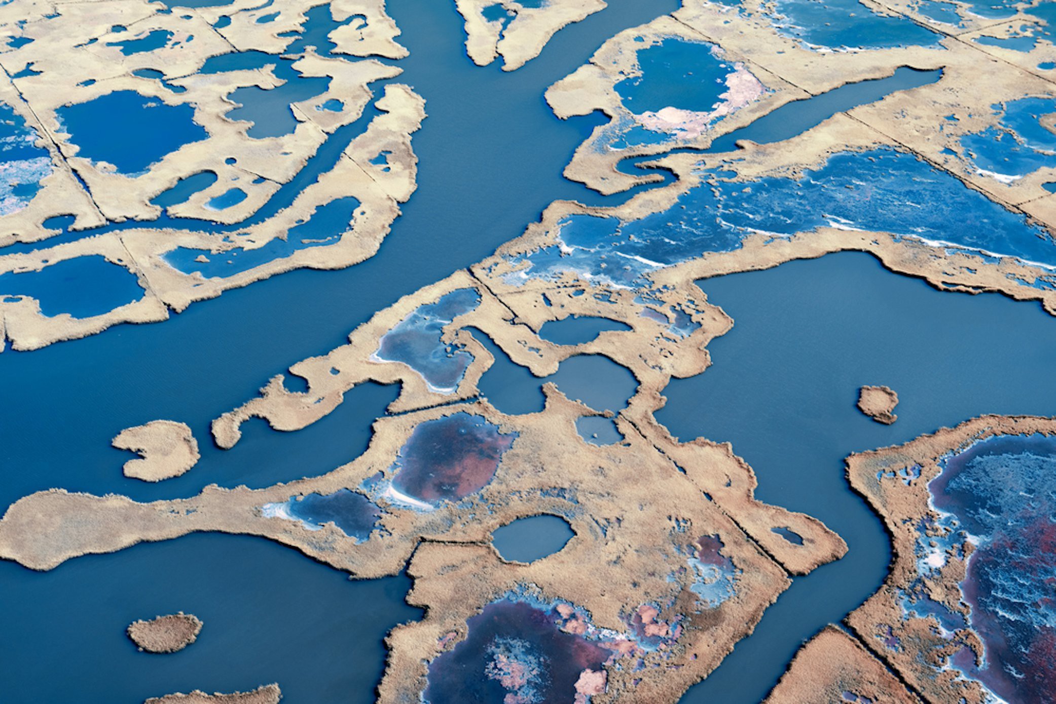 Jill Peters, Landscape II Jill Peters, Landscape II