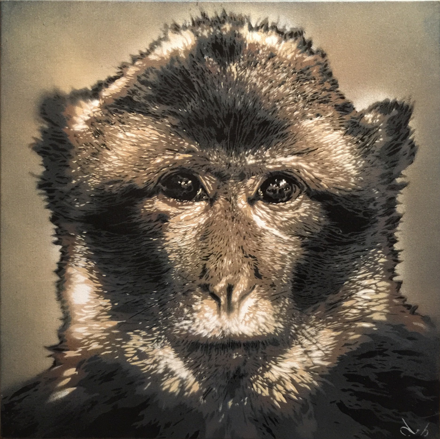 Docteur Bergman, Jeune Macaque Docteur Bergman, Jeune Macaque