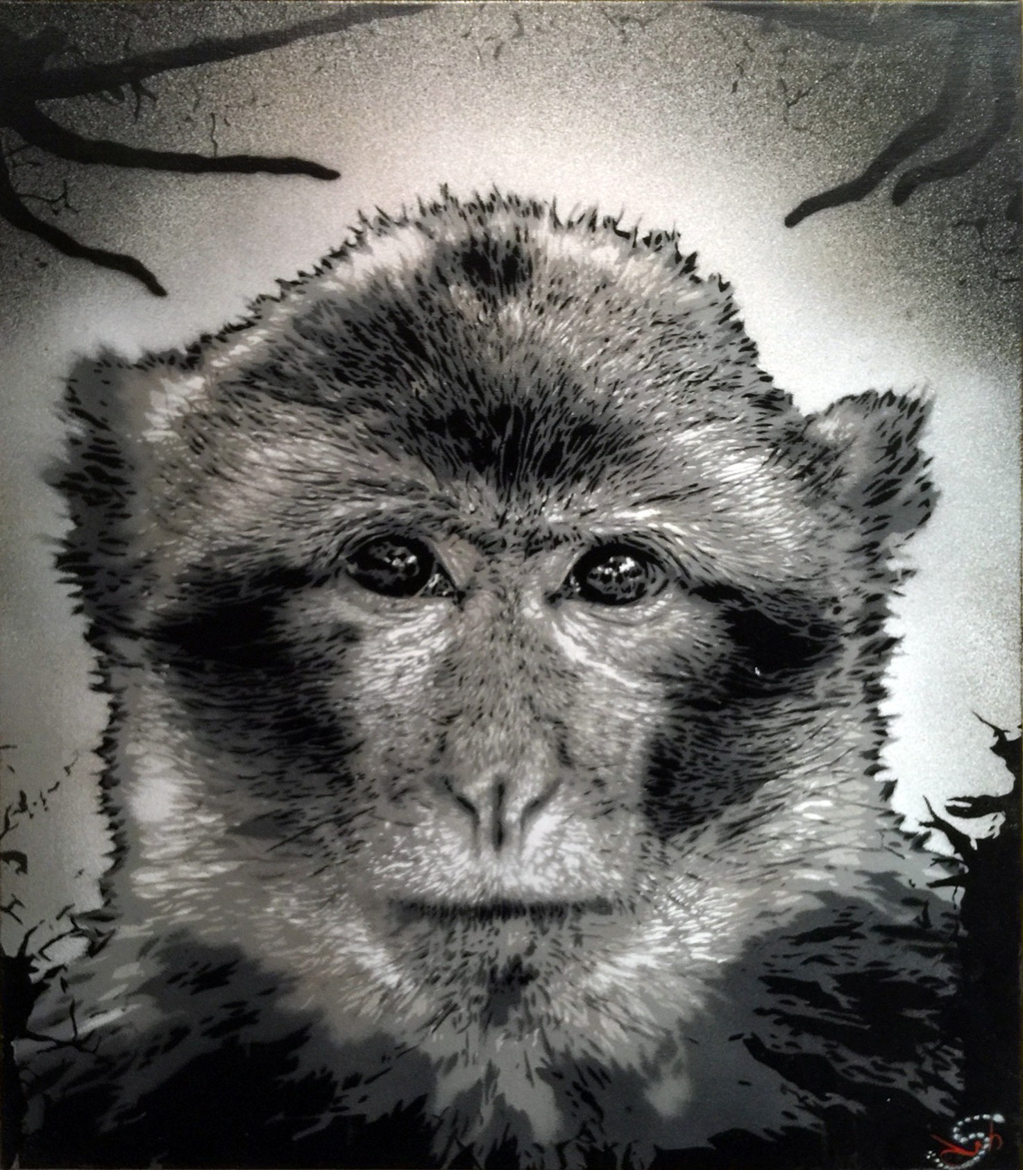 Docteur Bergman, Monkey in the Dark Docteur Bergman, Monkey in the Dark