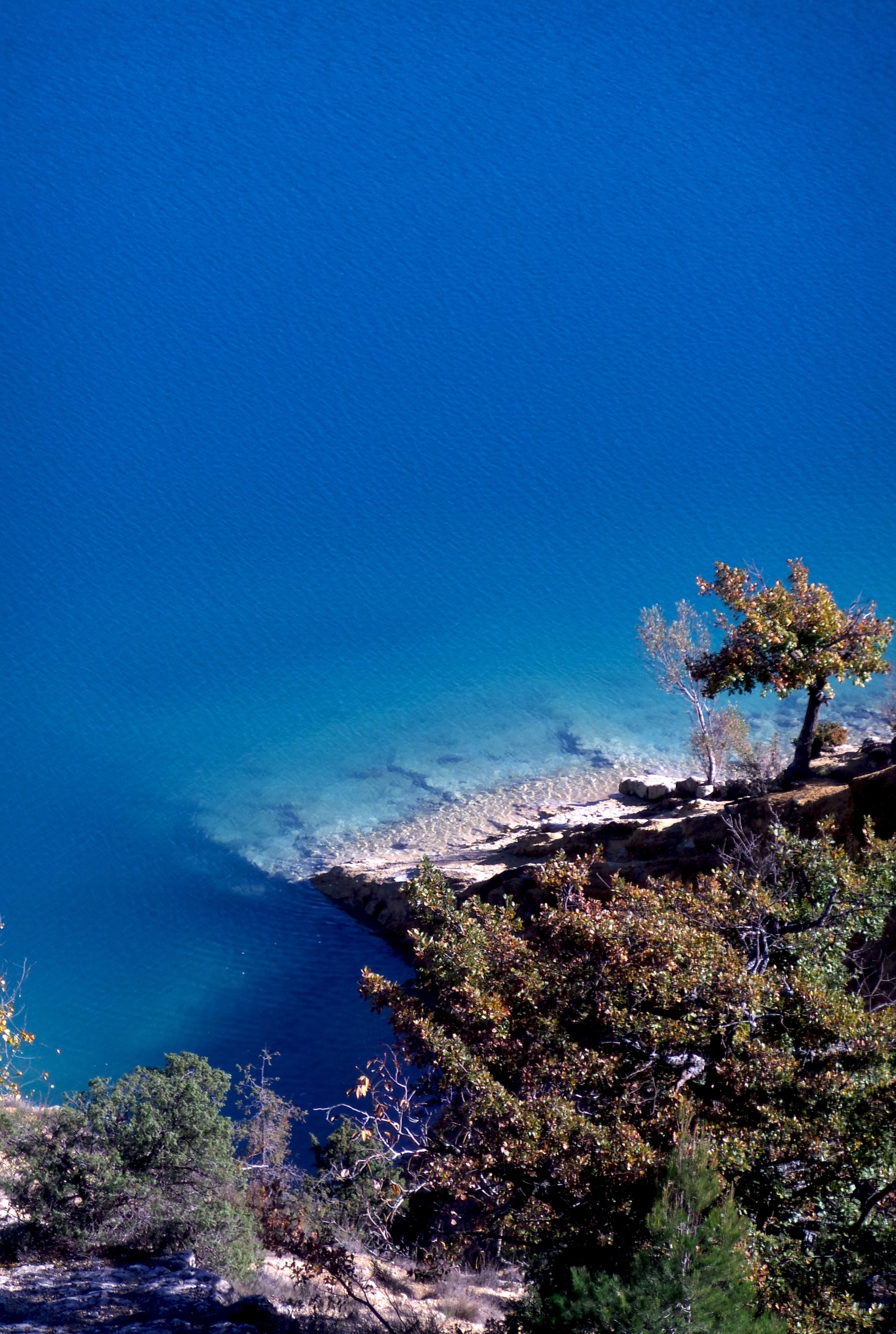 Dominique Leroy, Bleu Méditerranée. France Dominique Leroy, Bleu Méditerranée. France