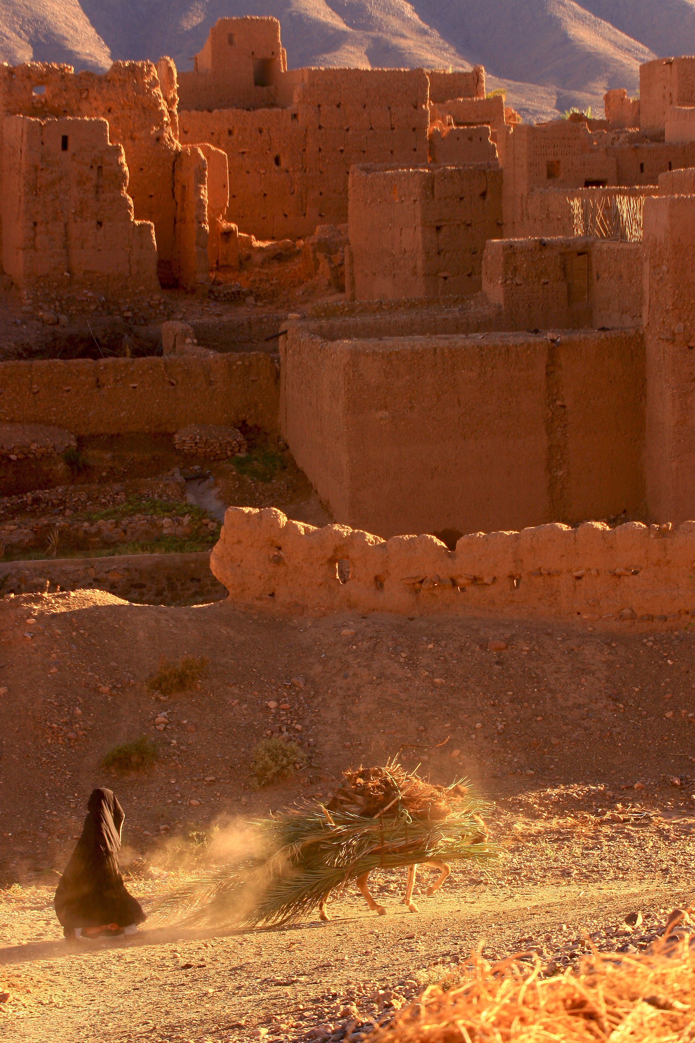 Dominique Leroy, Atlas et Kasbah. Maroc Dominique Leroy, Atlas et Kasbah. Maroc