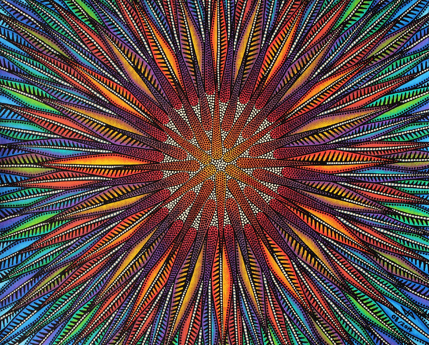 Jonathan Pradillon, Tournesol Jonathan Pradillon, Tournesol