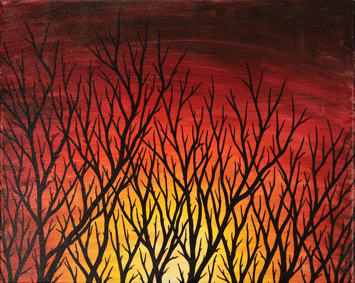 Jonathan Pradillon, Branches Jonathan Pradillon, Branches