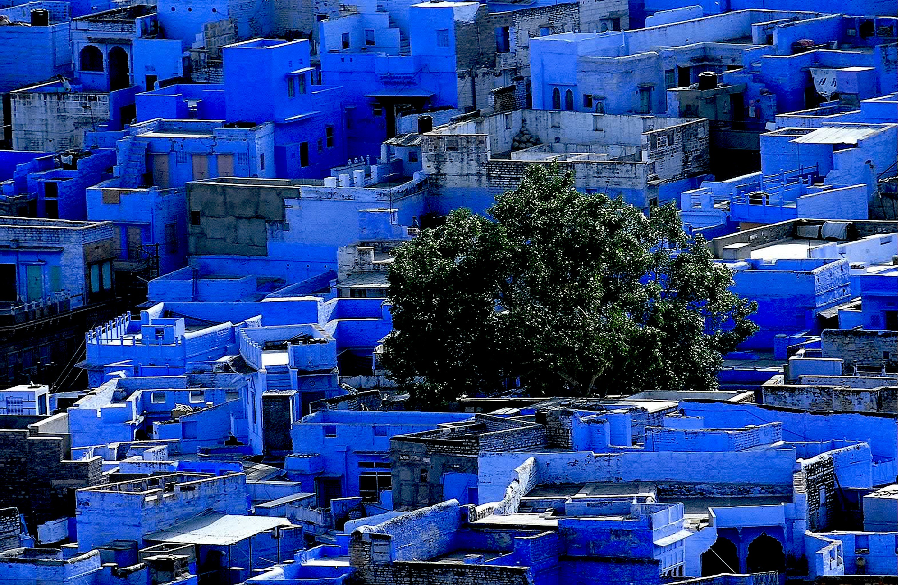 Dominique Leroy, Jodhpur la Bleu. Inde Dominique Leroy, Jodhpur la Bleu. Inde