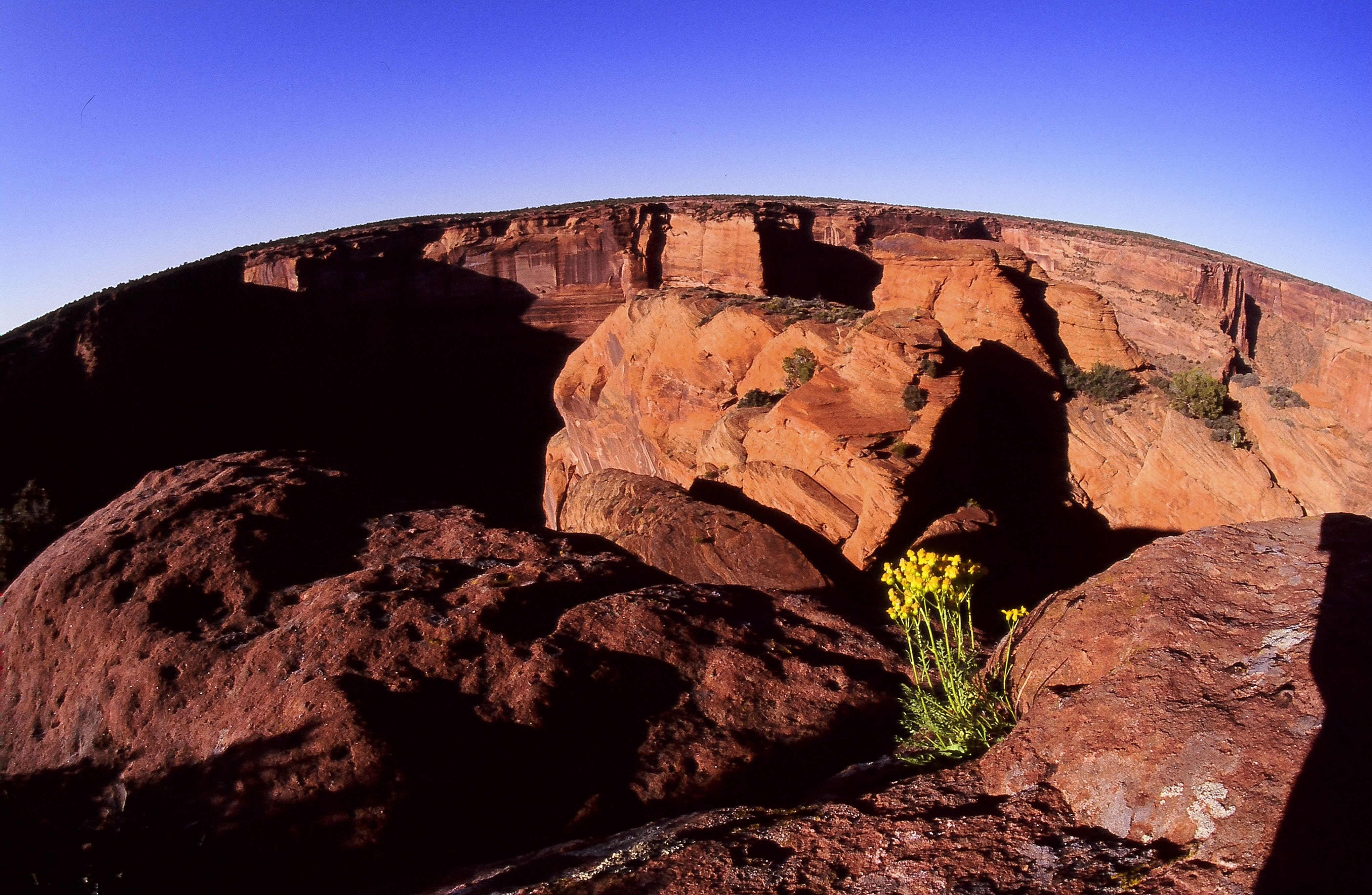 Dominique Leroy, Grand Canyon du Colorado. Amérique du Nord Dominique Leroy, Grand Canyon du Colorado. Amérique du Nord