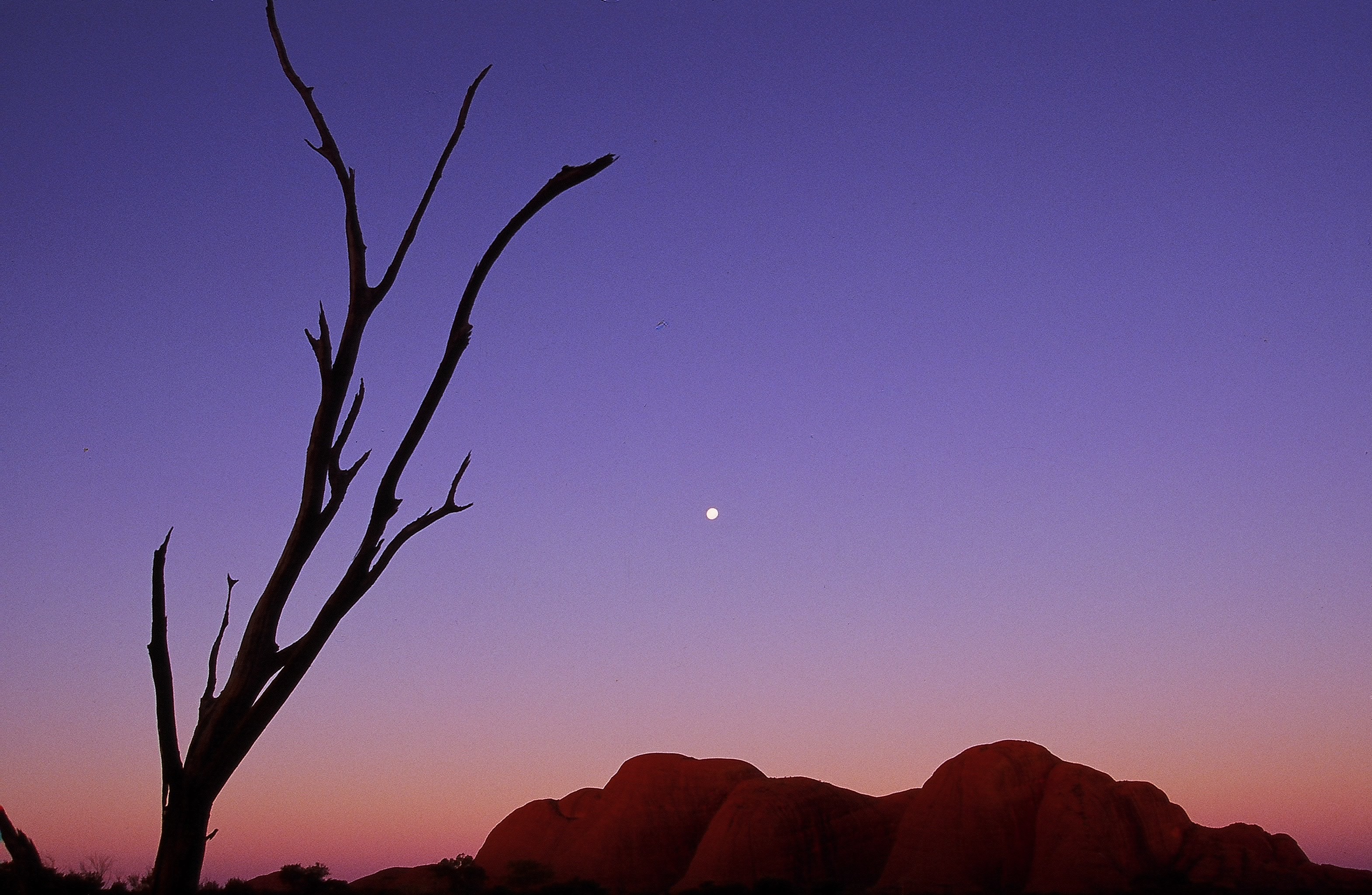 Dominique Leroy, Lever de lune sur le mont Olga. Uluru. Australie Dominique Leroy, Lever de lune sur le mont Olga. Uluru. Australie