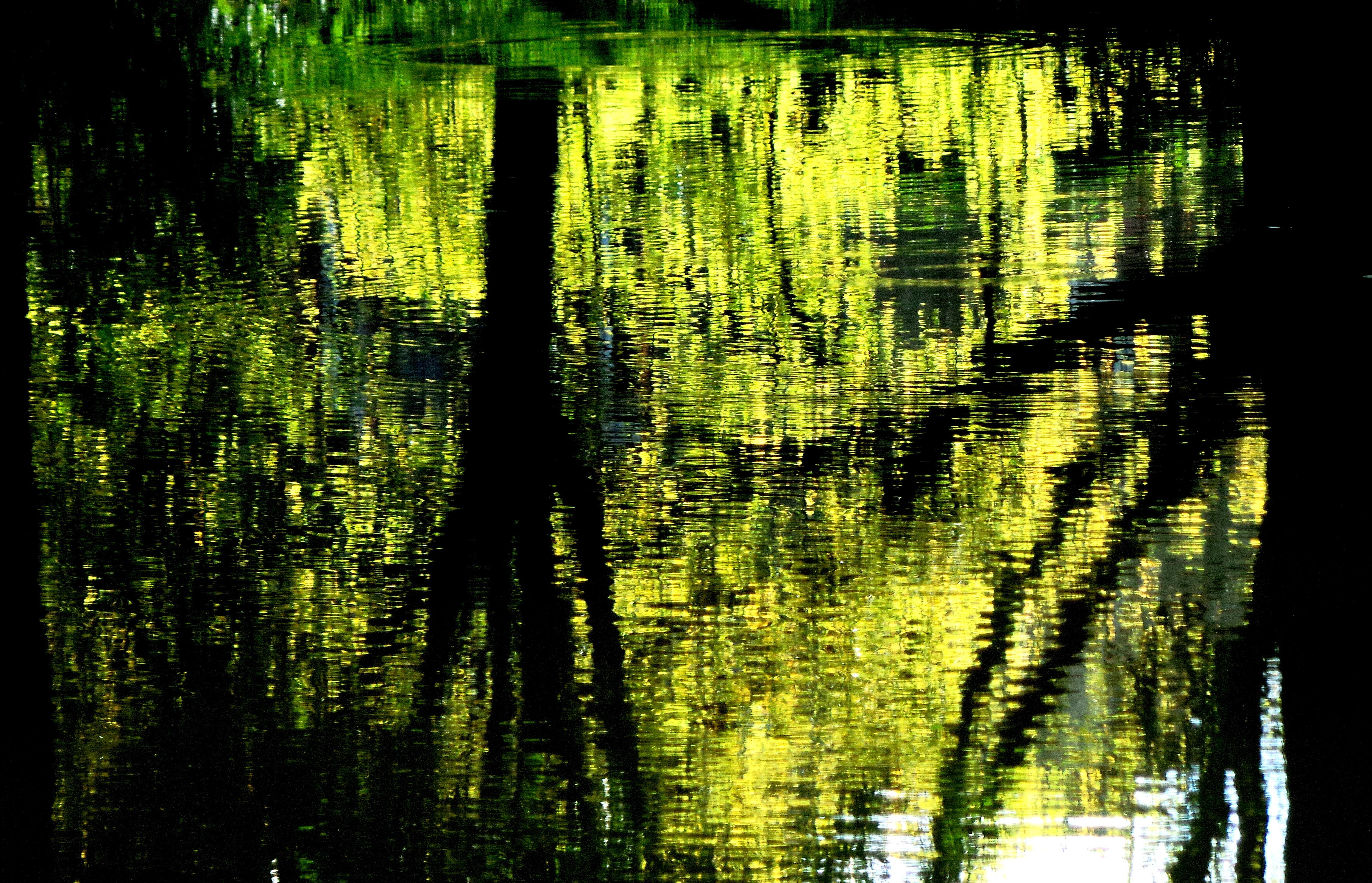 Dominique Leroy, Reflet. Dominique Leroy, Reflet.