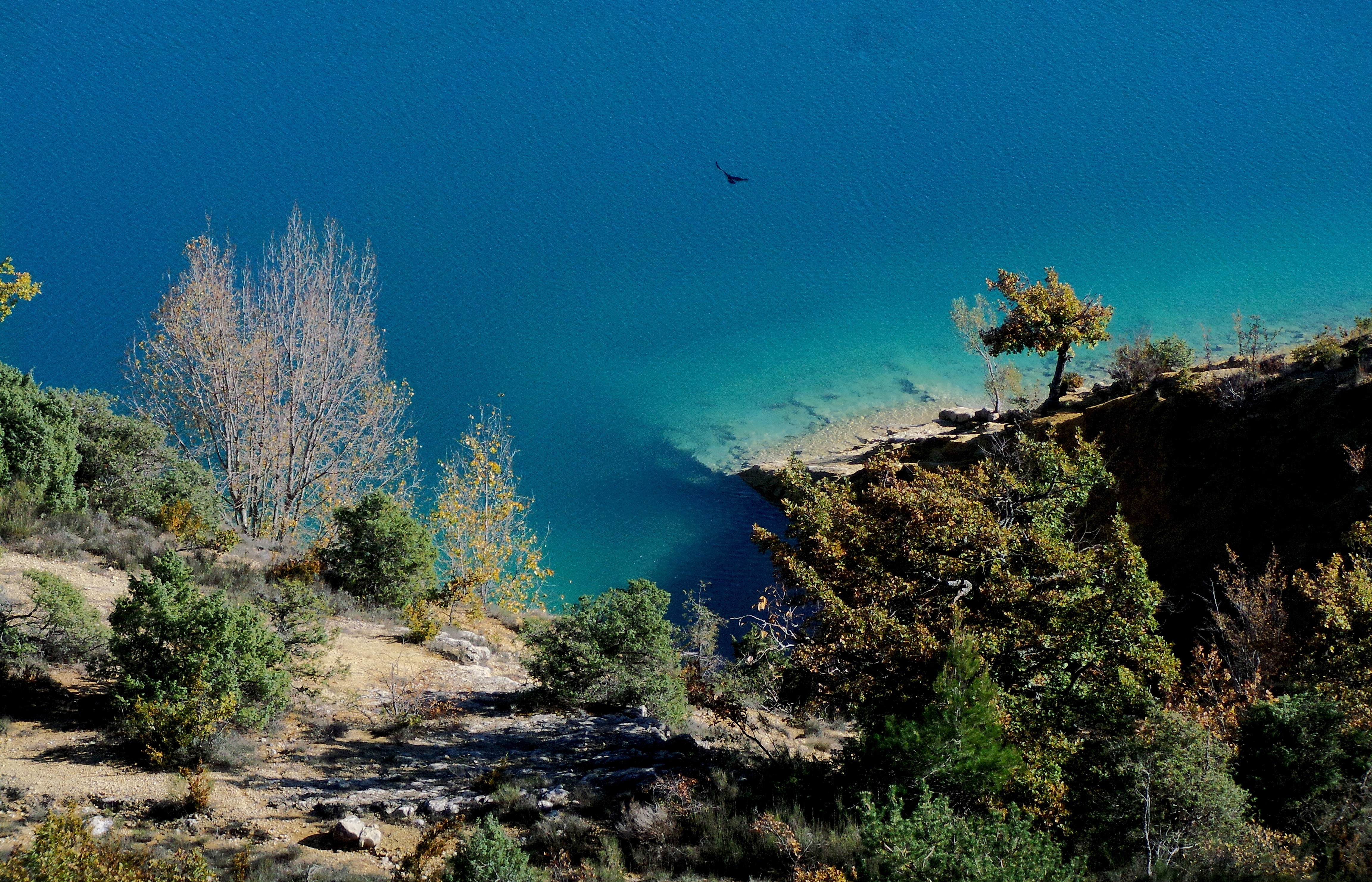 Dominique Leroy, Eau bleu azur. France Dominique Leroy, Eau bleu azur. France