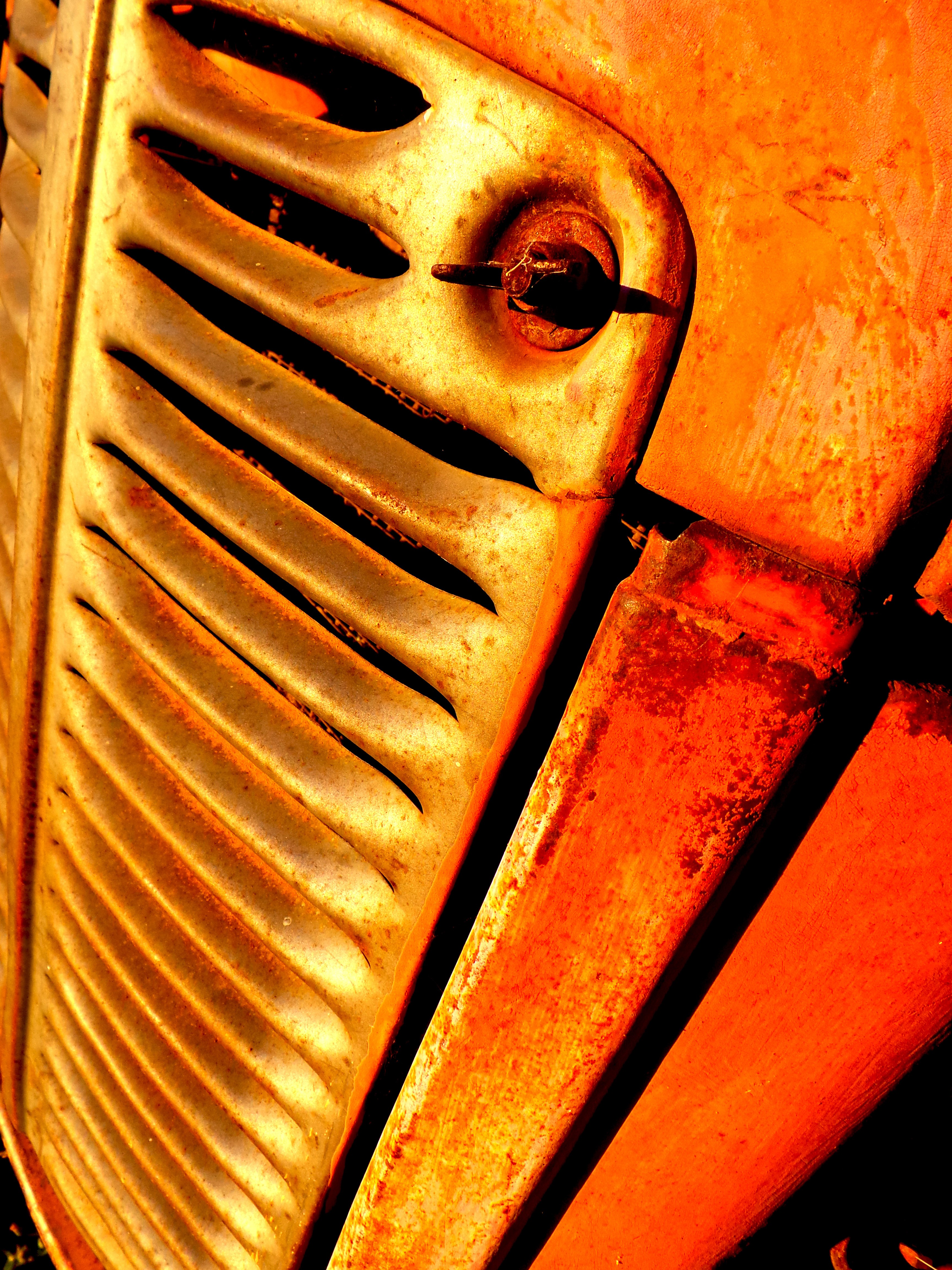 Dominique Leroy, Calandre. Rouille Dominique Leroy, Calandre. Rouille