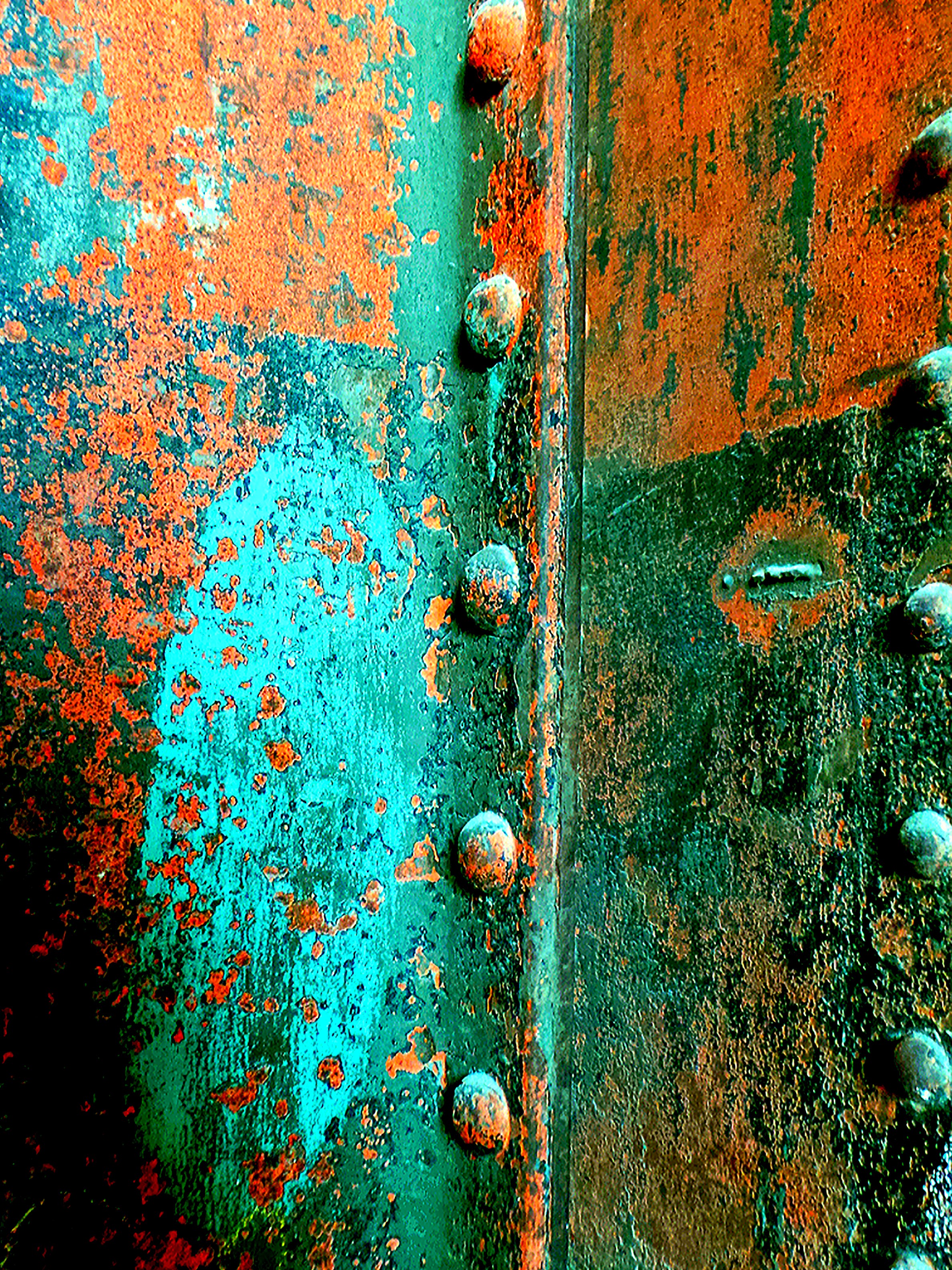 Dominique Leroy, Rivets et écailles . Rouille Dominique Leroy, Rivets et écailles . Rouille