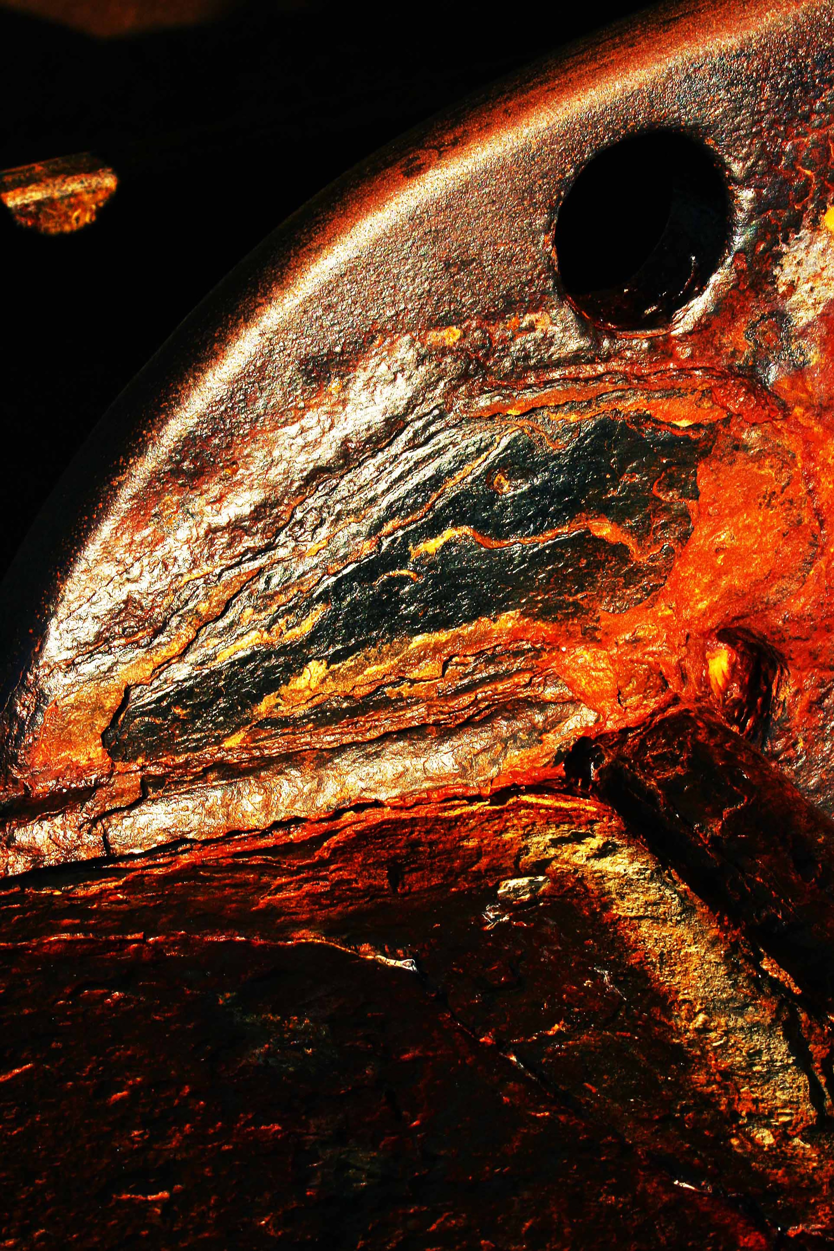 Dominique Leroy, Fossile poisson. Rouille Dominique Leroy, Fossile poisson. Rouille