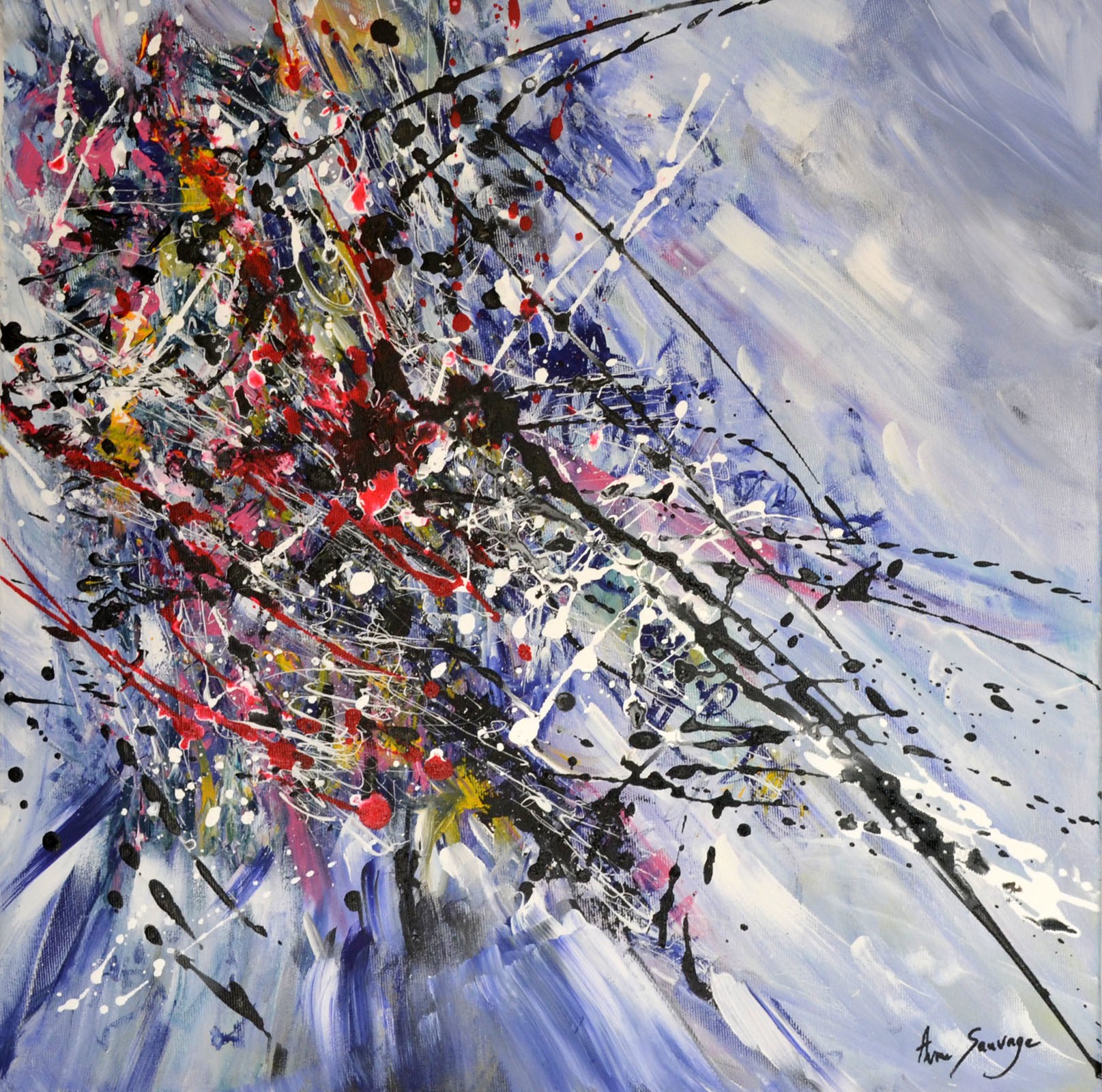 Âme Sauvage, Explosion positive Âme Sauvage, Explosion positive