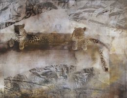 Photography, Leopardi, Alfons Alt