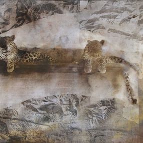Photographie, Leopardi, Alfons Alt