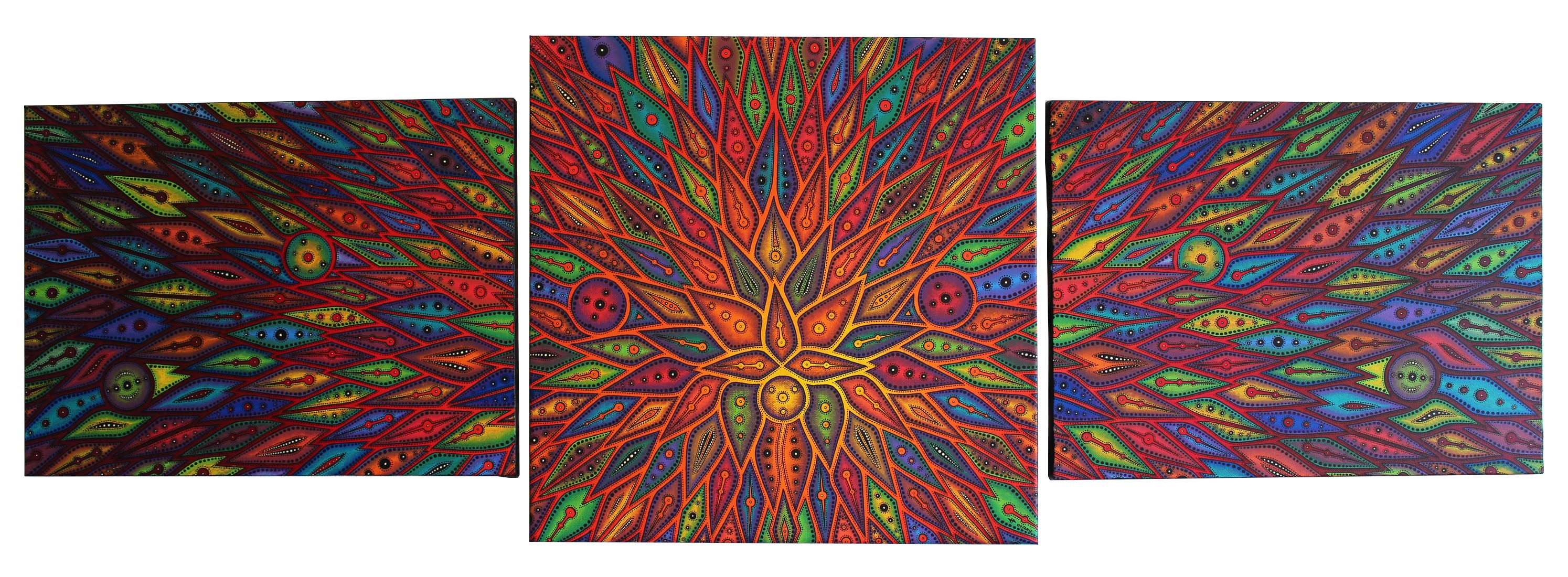 Jonathan Pradillon, Diffusion Jonathan Pradillon, Diffusion