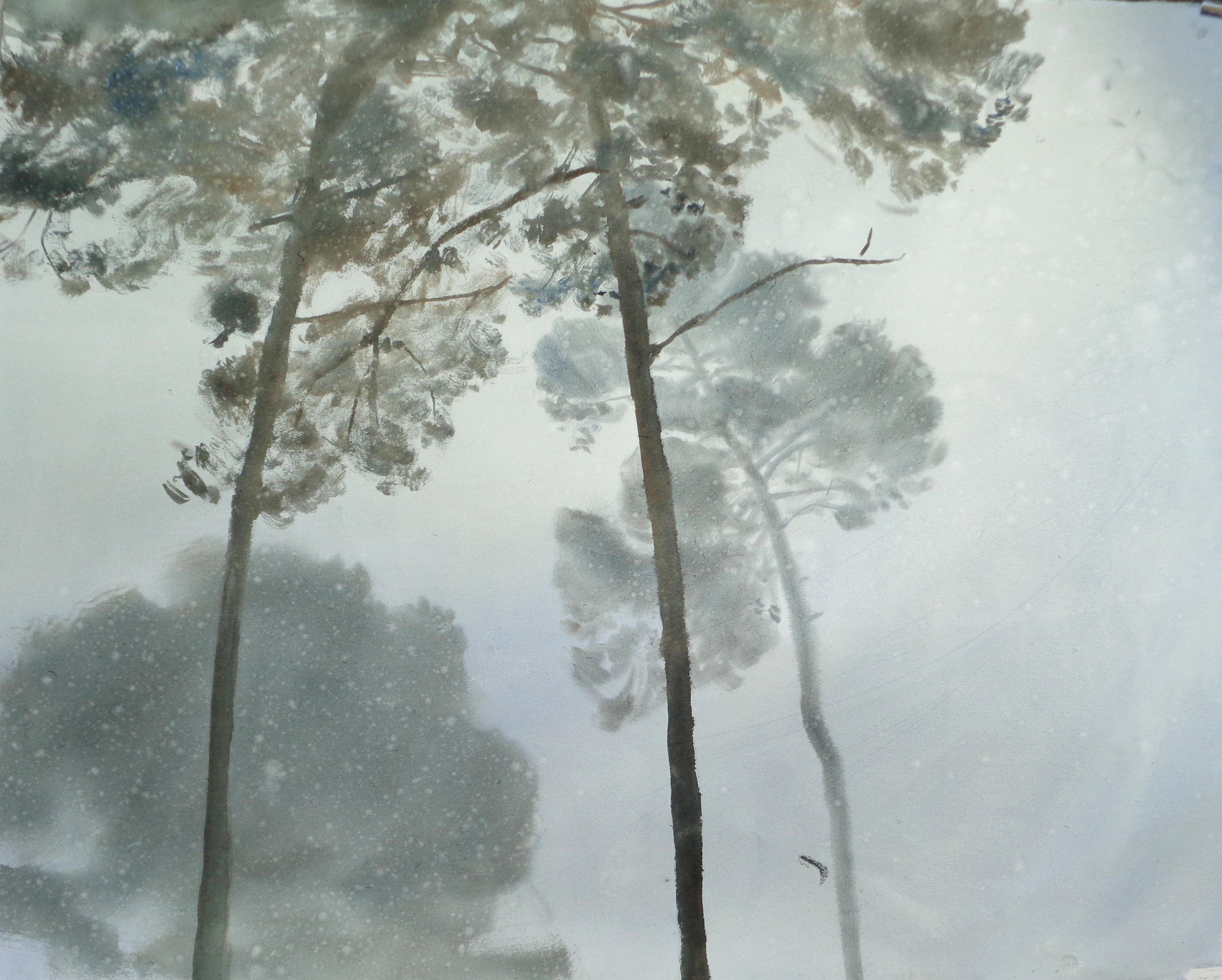 Rémi Hamoir, Fog Rémi Hamoir, Fog