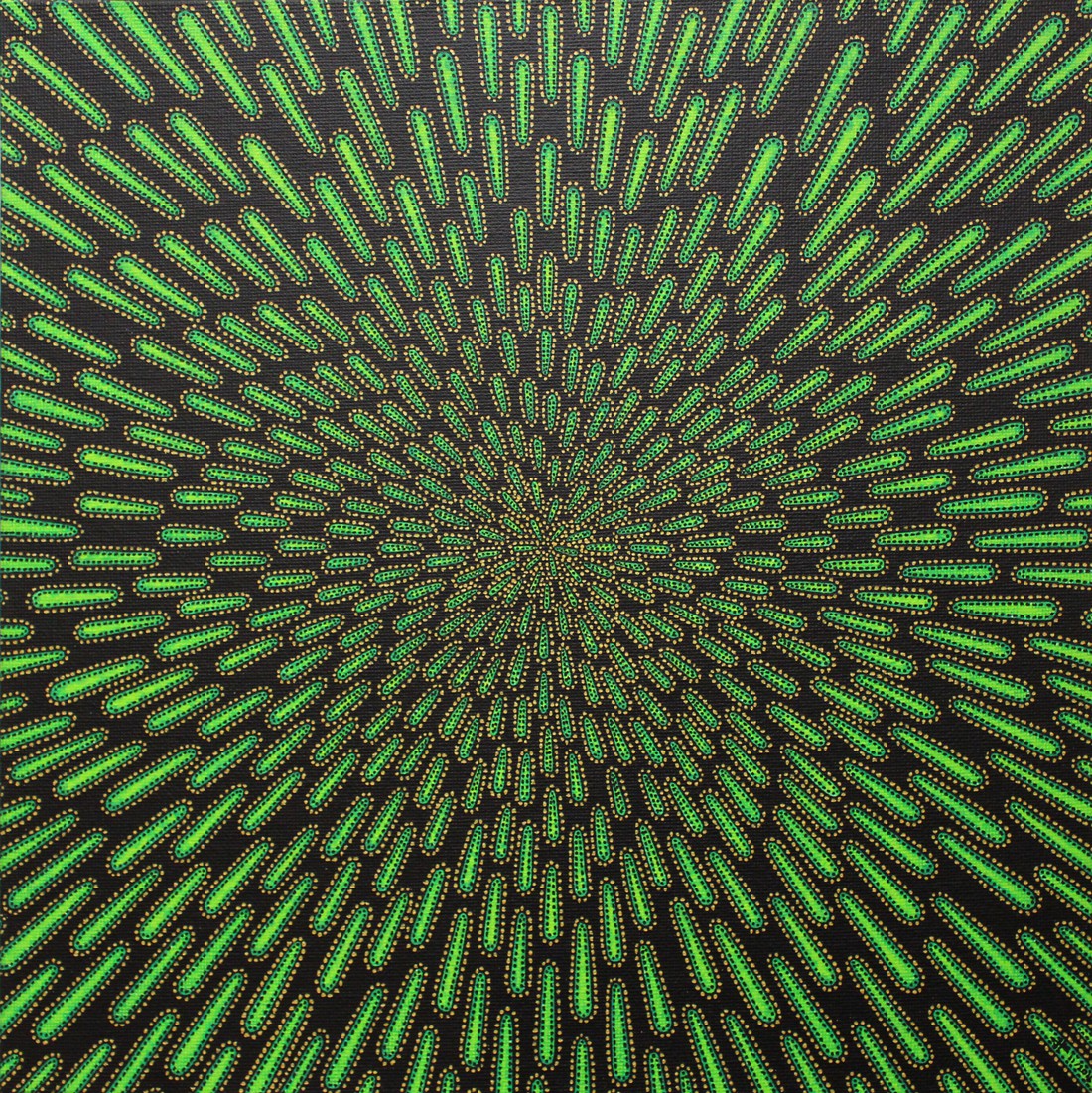 Jonathan Pradillon, Particule verte Jonathan Pradillon, Particule verte