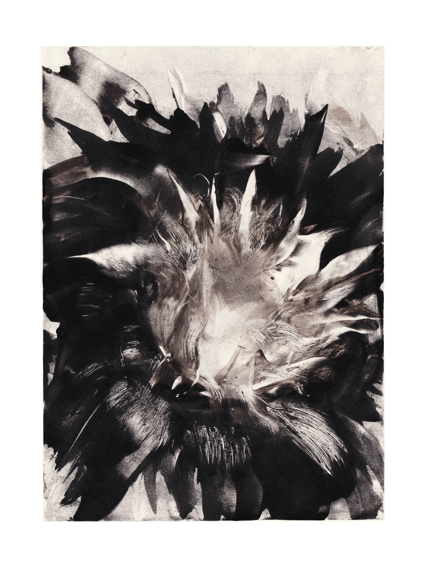Anne Kari Ødegård, Power Flower Anne Kari Ødegård, Power Flower