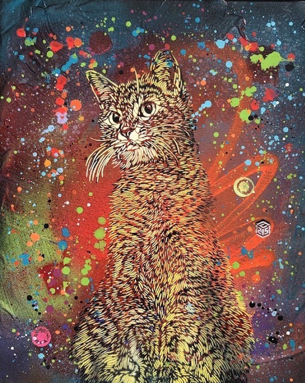 C215, Meow C215, Meow