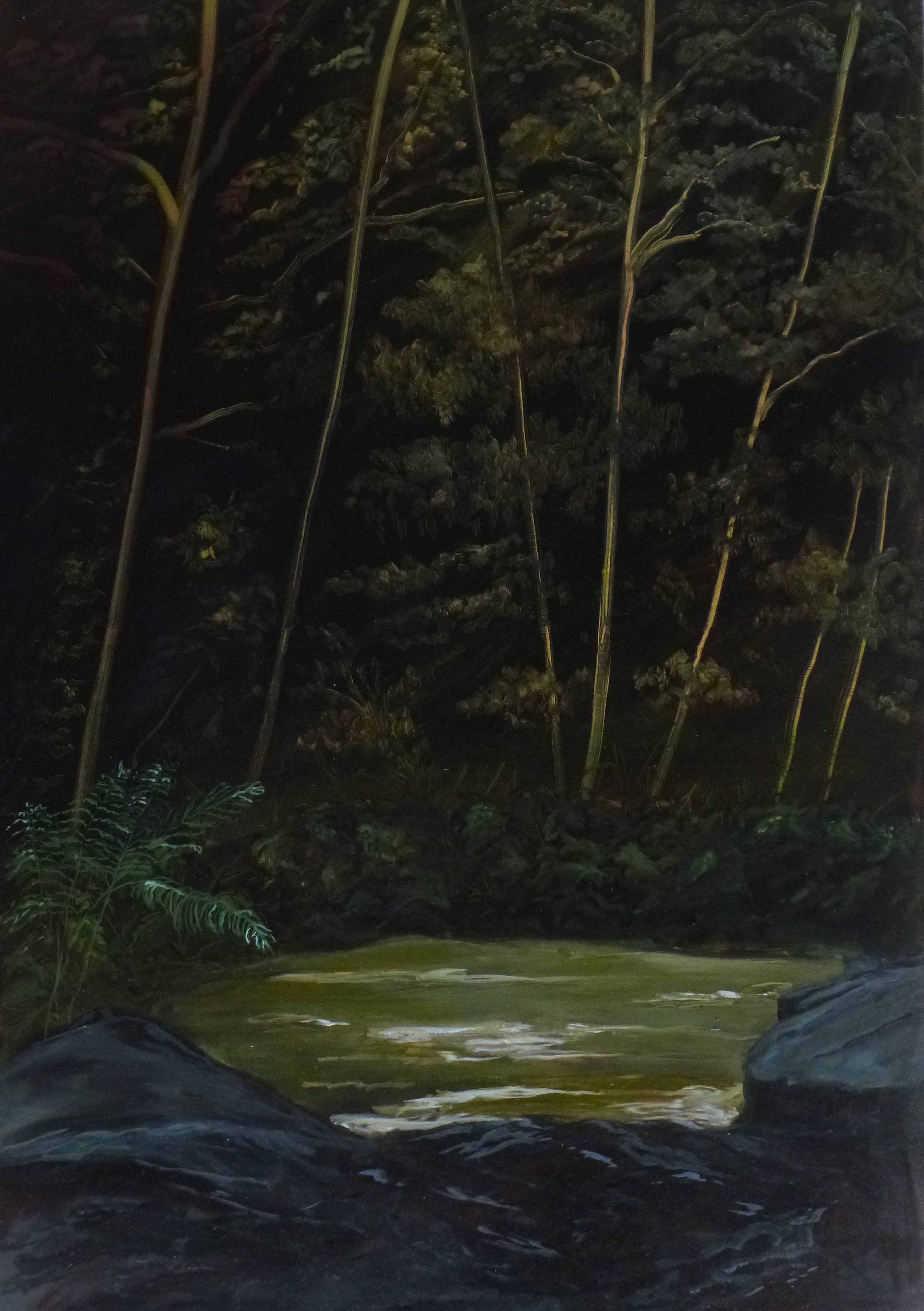 Jean-Marc Teillon, Série des Forêts No°2 Jean-Marc Teillon, Série des Forêts No°2