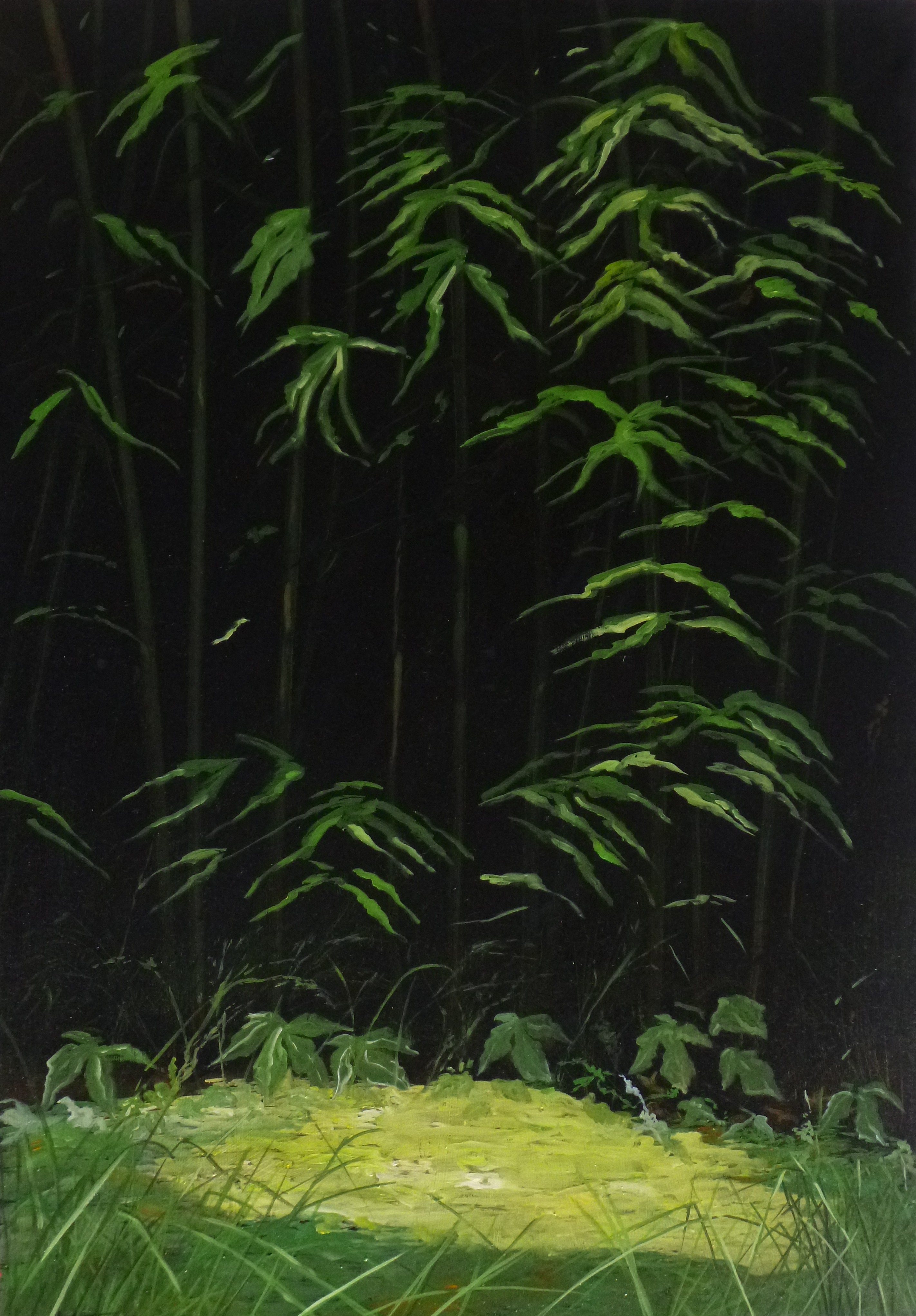 Jean-Marc Teillon, Série des Forêts No°3 Jean-Marc Teillon, Série des Forêts No°3
