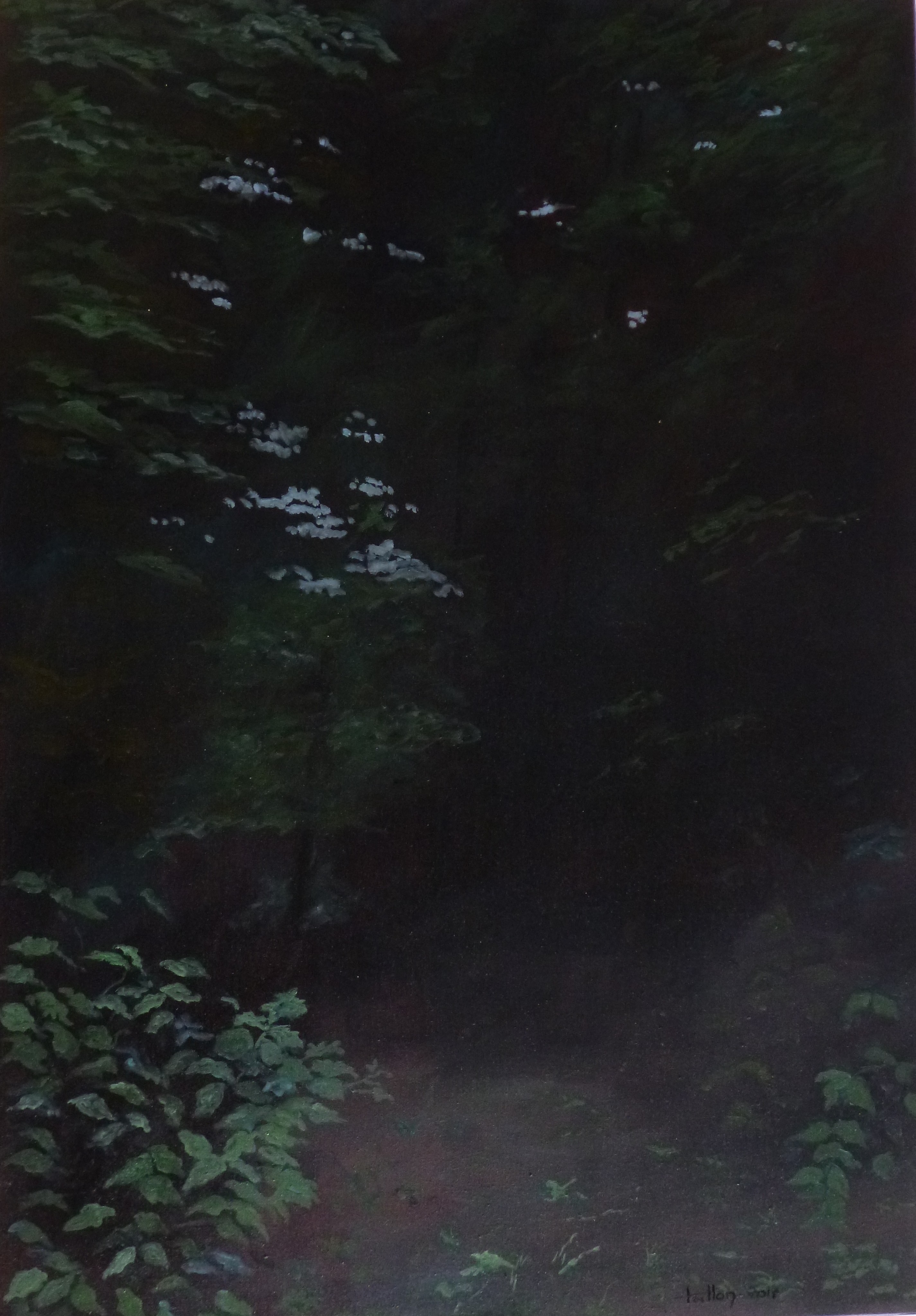 Jean-Marc Teillon, Série des Forêts No°4 Jean-Marc Teillon, Série des Forêts No°4