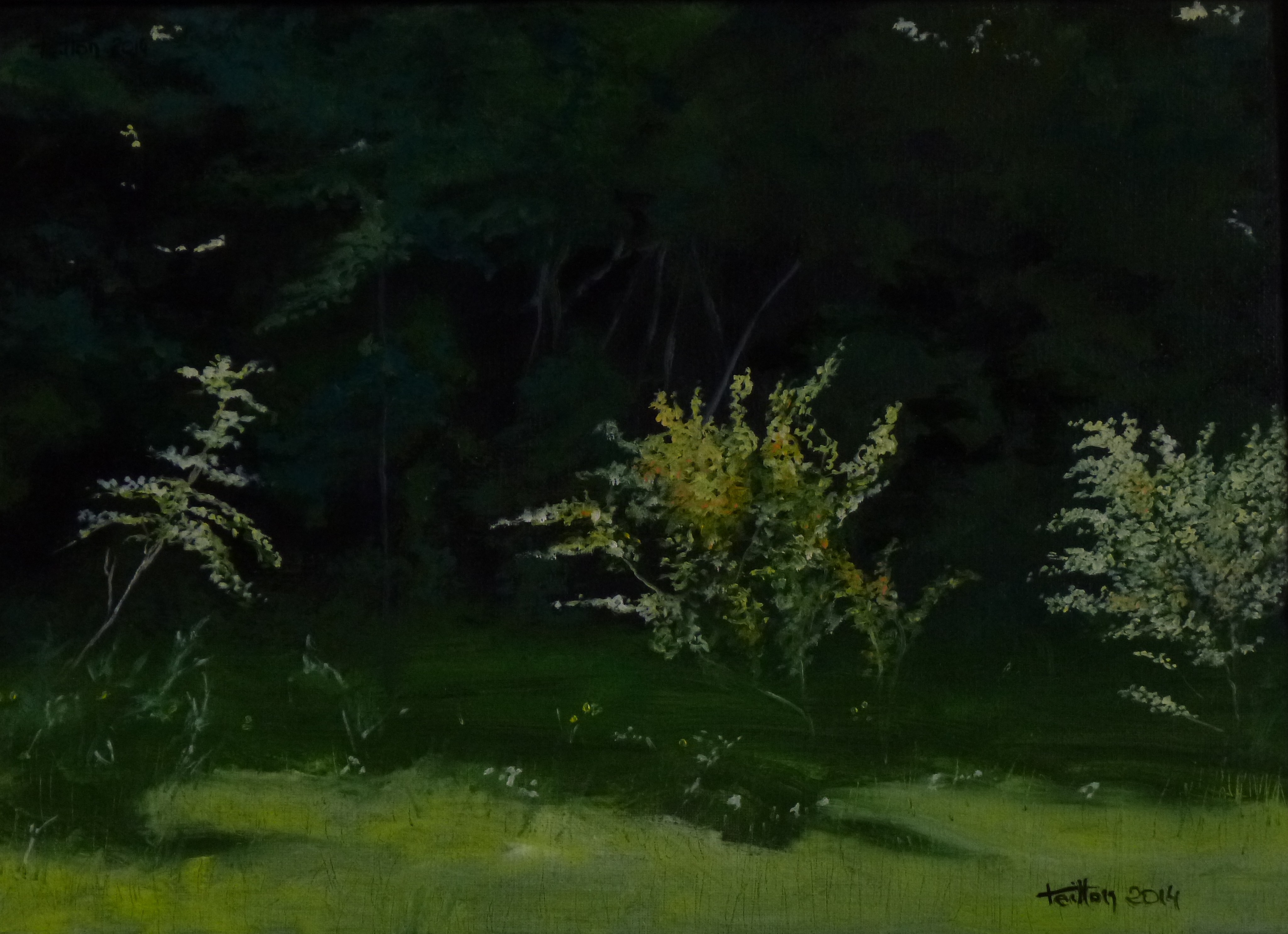 Jean-Marc Teillon, Paysage No°2 Jean-Marc Teillon, Paysage No°2