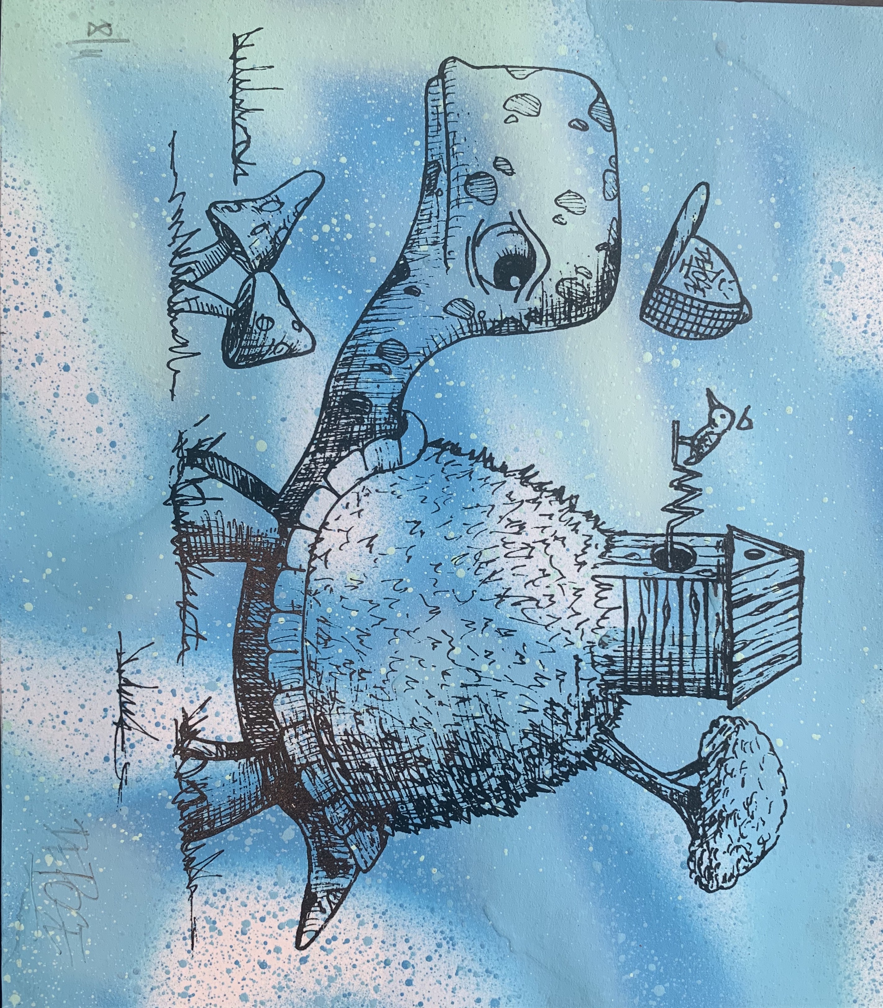 Depose, Turtle blue Depose, Turtle blue